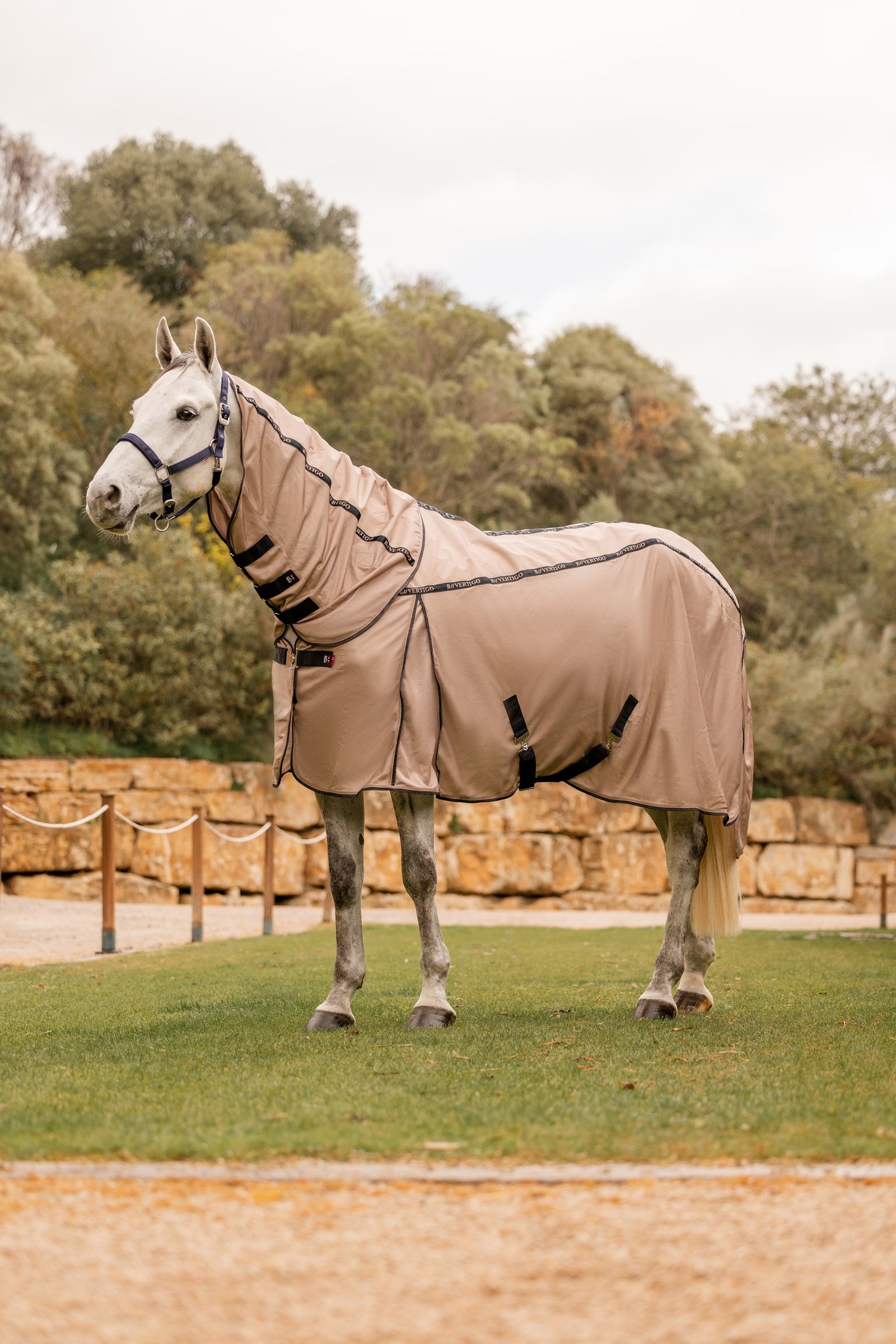 B Vertigo Combo Fly Rug with Detachable Neck and UV Protection Horse Rugs