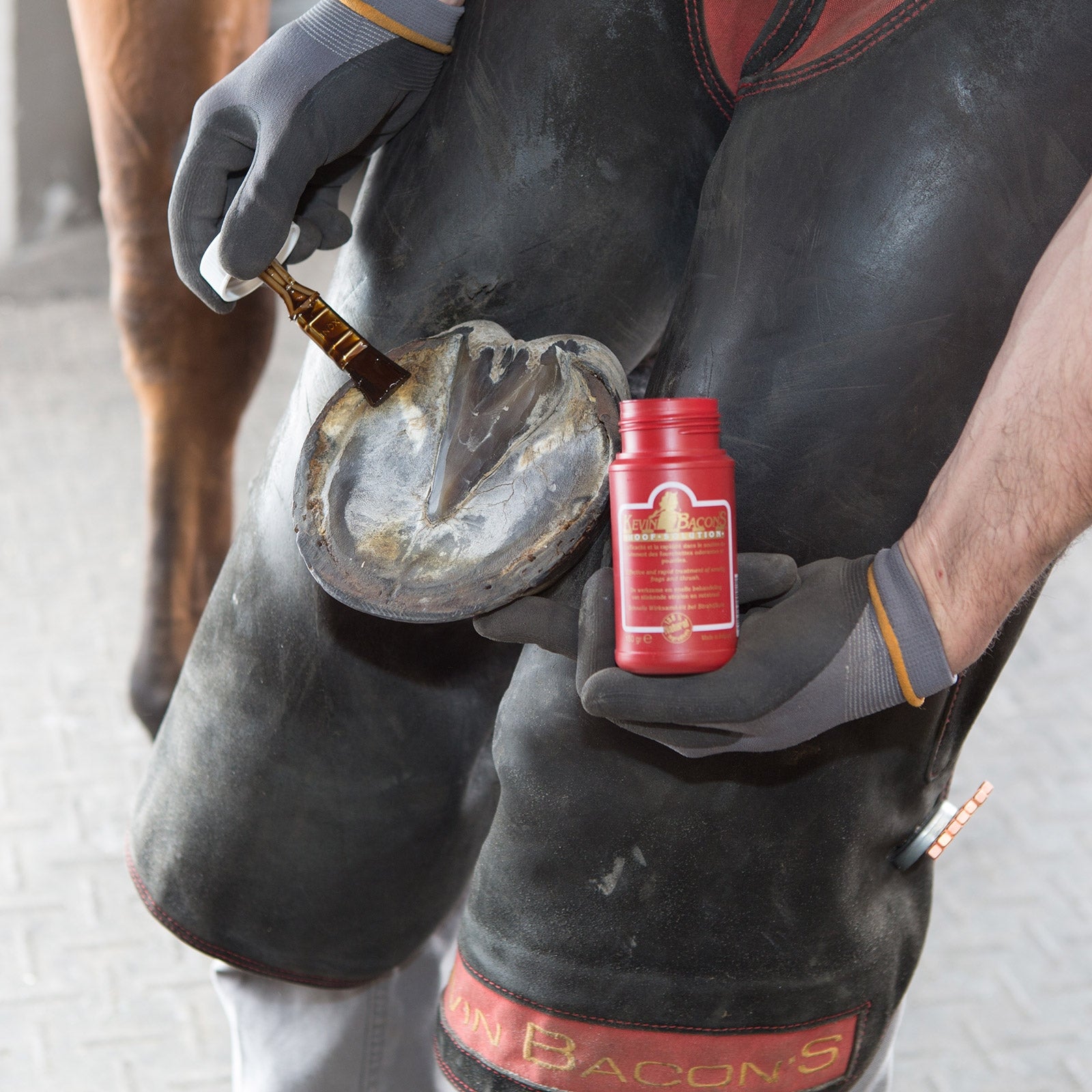 Kevin's Bacon Kevin Bacon's hoof solution Horse Health Care
