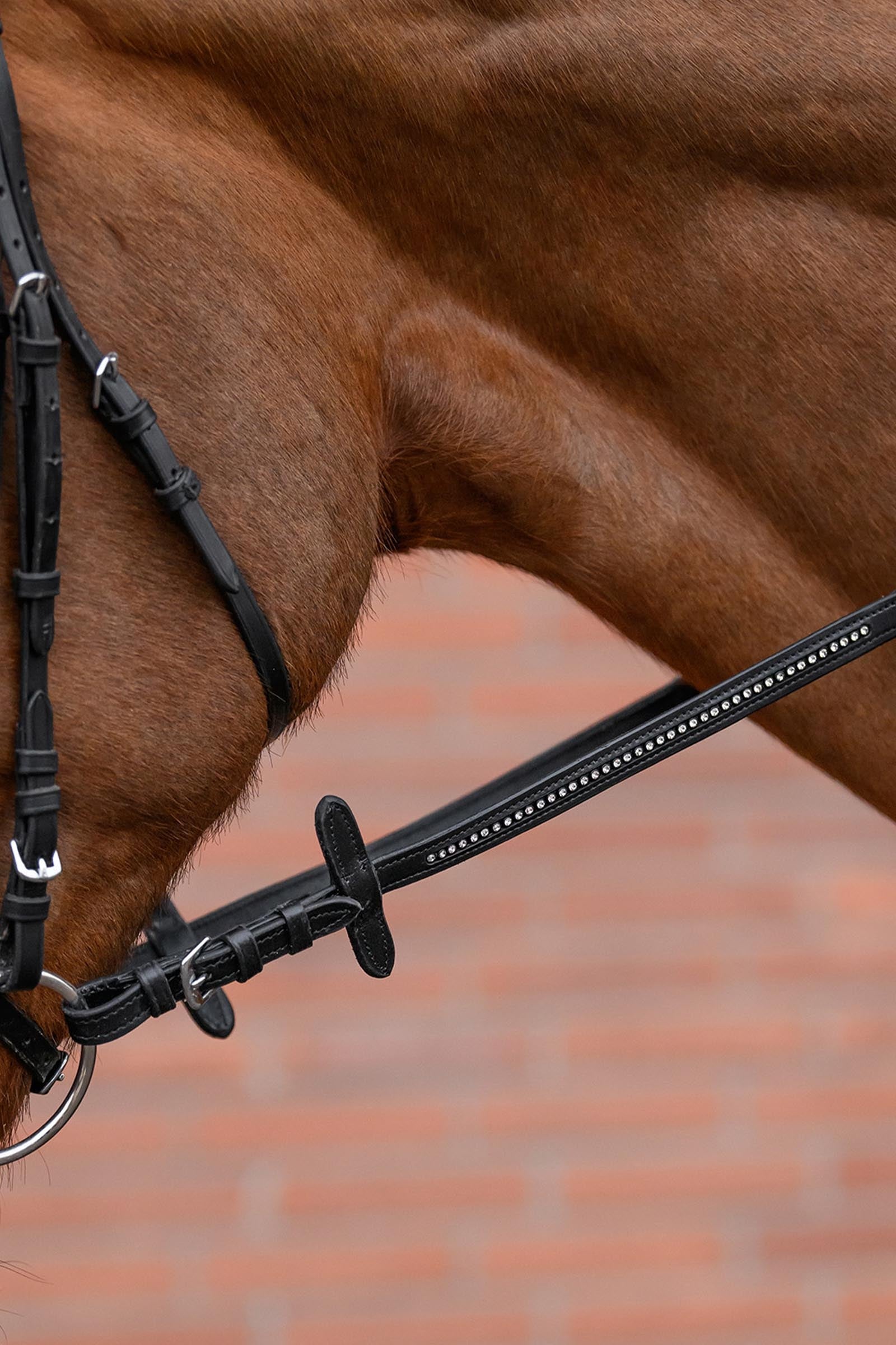 Star STAR Diamond Web Reins With Rhinestones Bridles & Reins