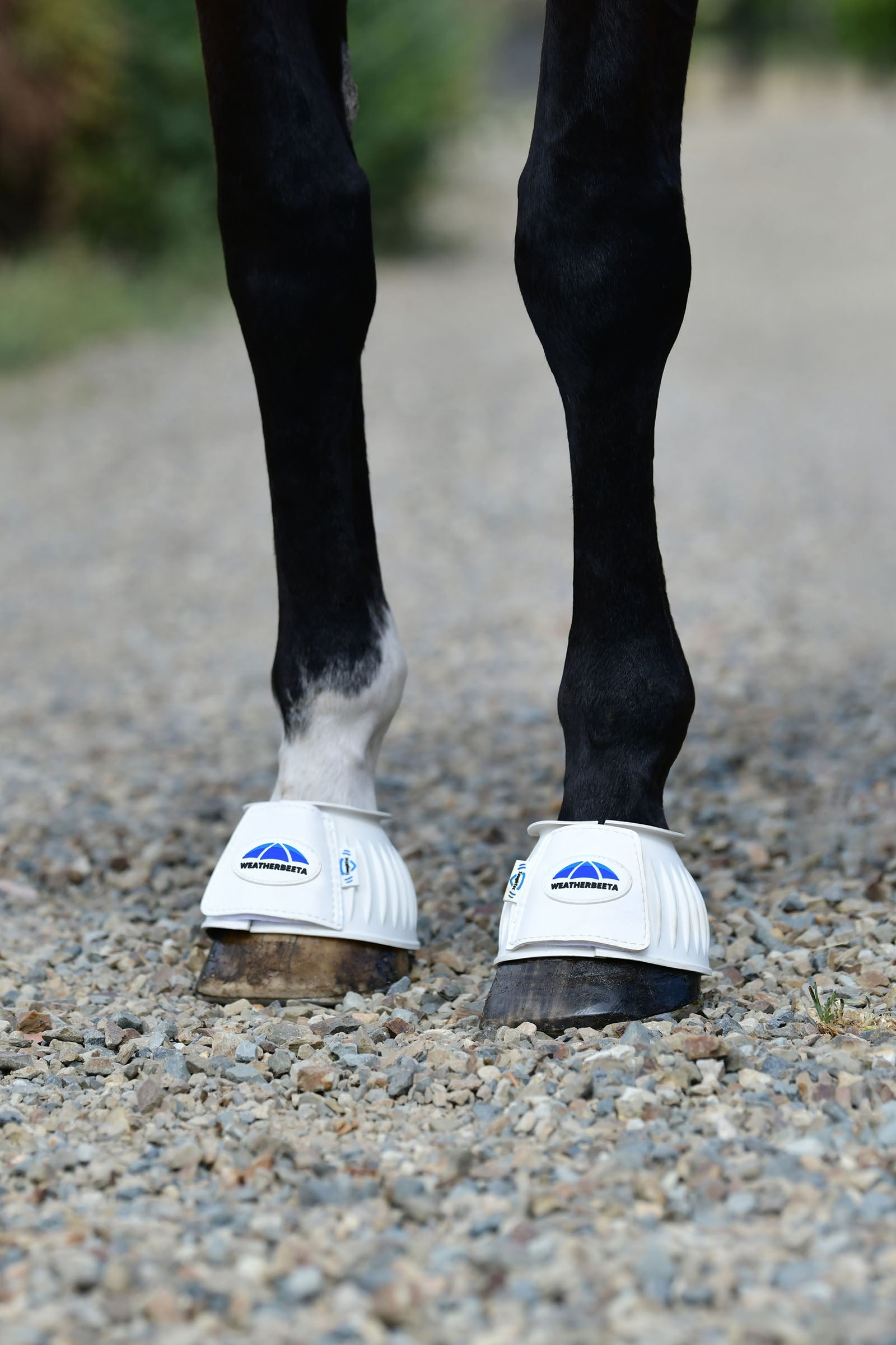 Weatherbeeta Tough-Tec Prime Rubber Bell Boots Leg Protection & Hoof Protection for Horses