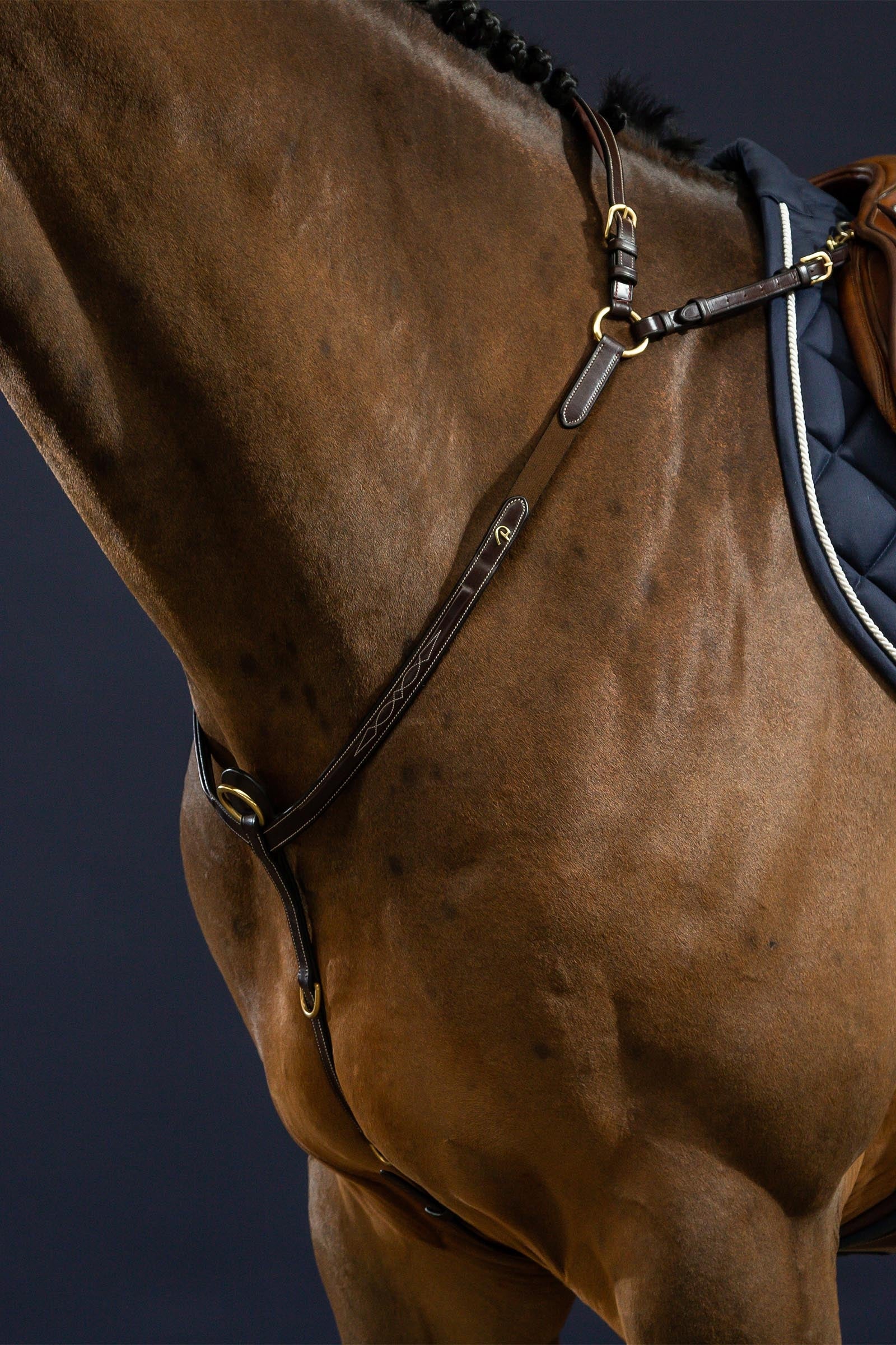 Dy'on D Collection Bridge Breastplate  Bridles & Reins