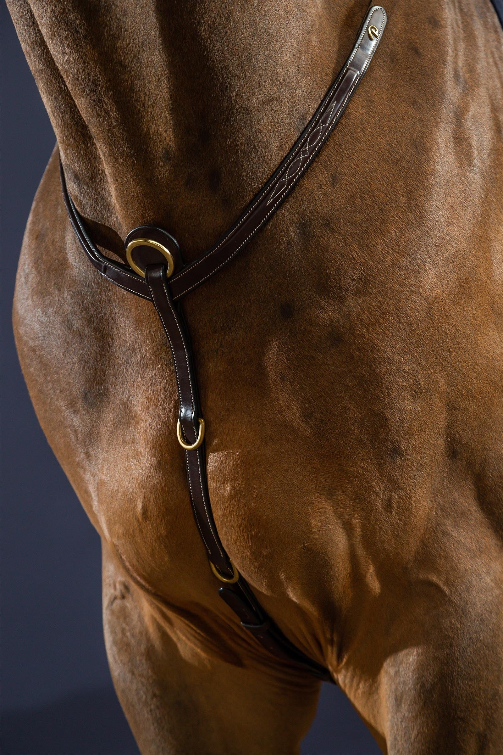 Dy'on D Collection Bridge Breastplate  Bridles & Reins
