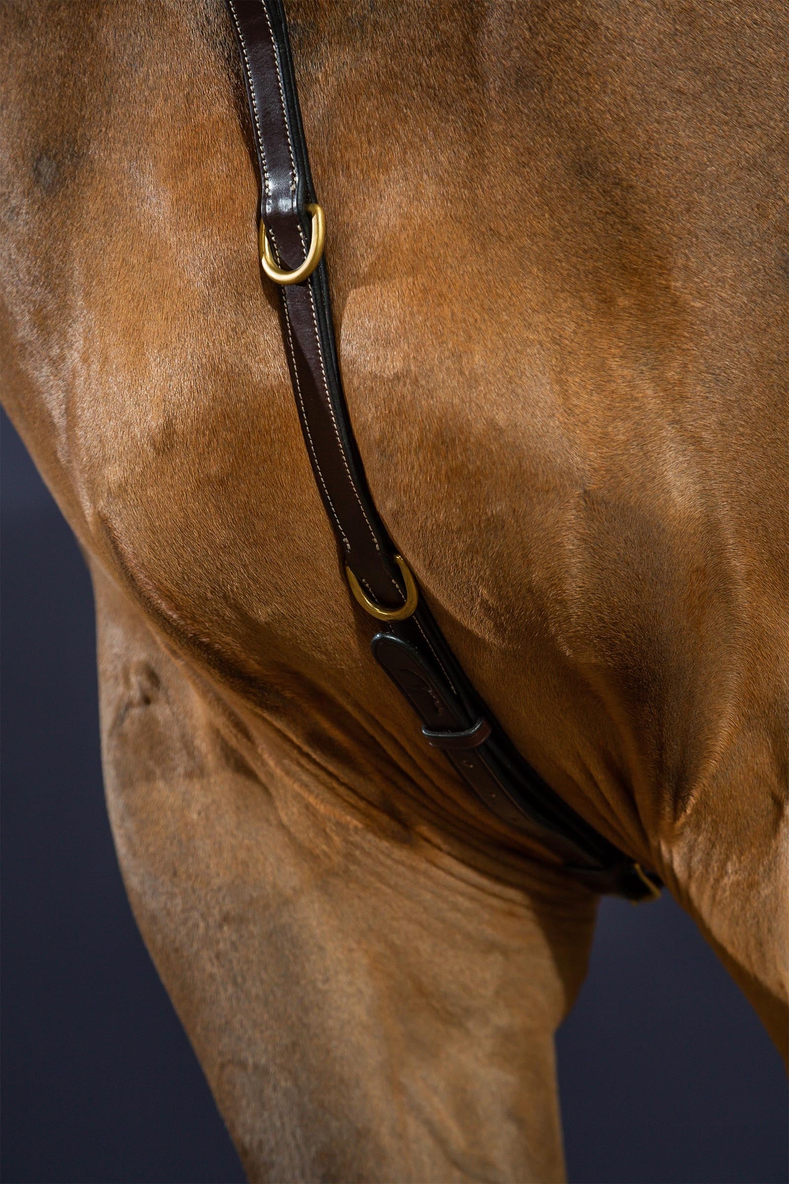 Dy'on D Collection Bridge Breastplate  Bridles & Reins