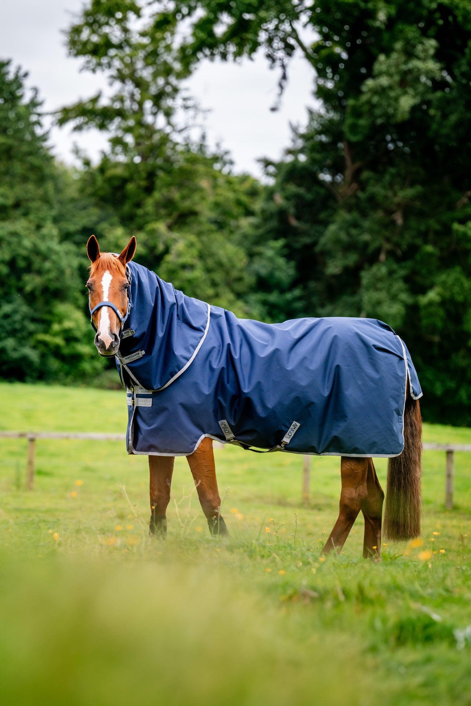 Horseware Amigo Ripstop 900D Plus Turnout Rug, 100 g Horse Rugs