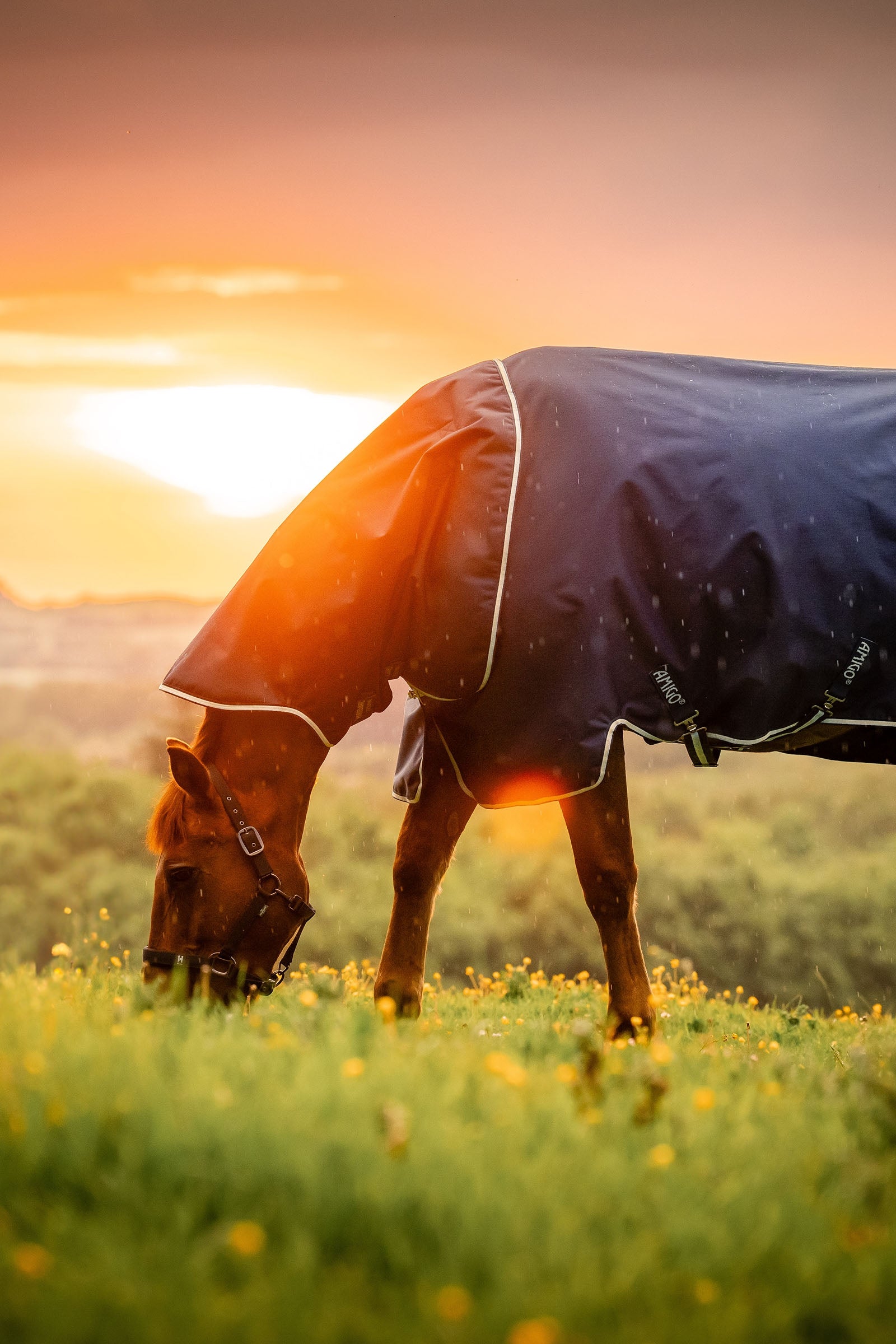 Horseware Amigo Ripstop 900D Plus Turnout Rug With Detachable Neck, 0 g Hestedækken