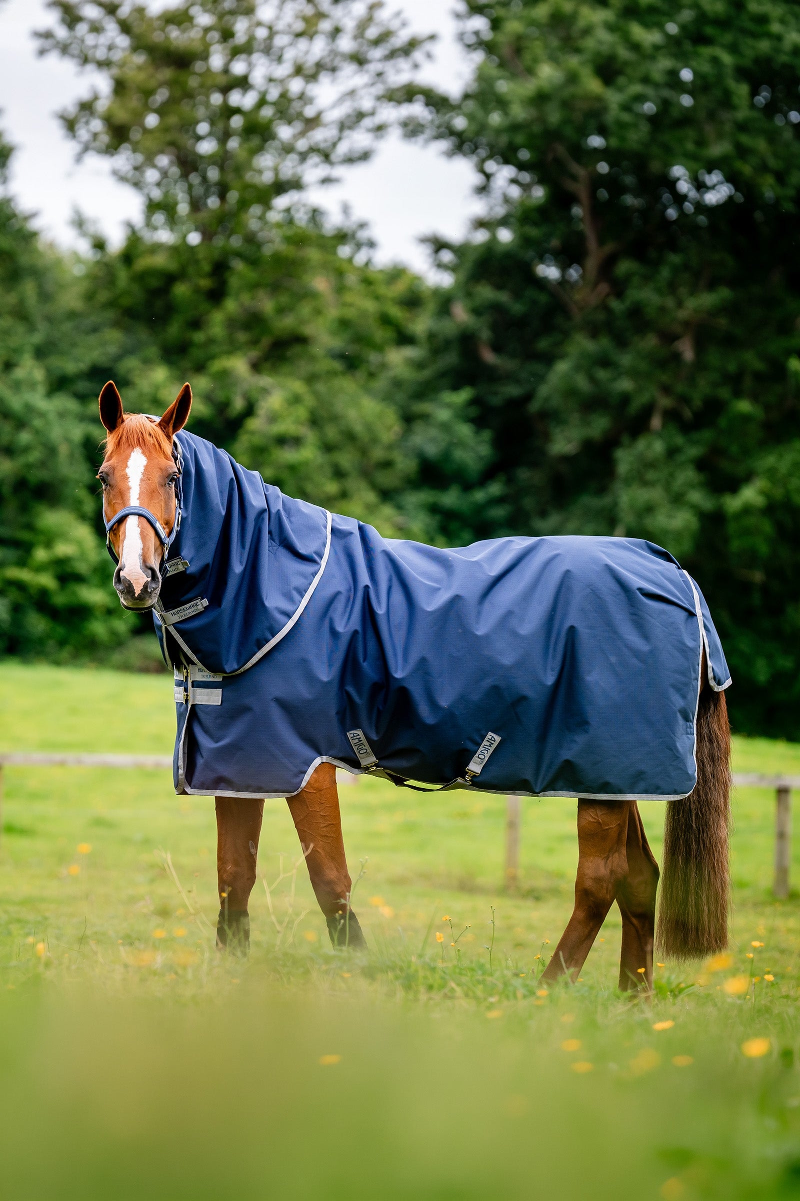 Horseware Amigo Ripstop 900D Plus Turnout Rug With Detachable Neck, 0 g Horse Rugs