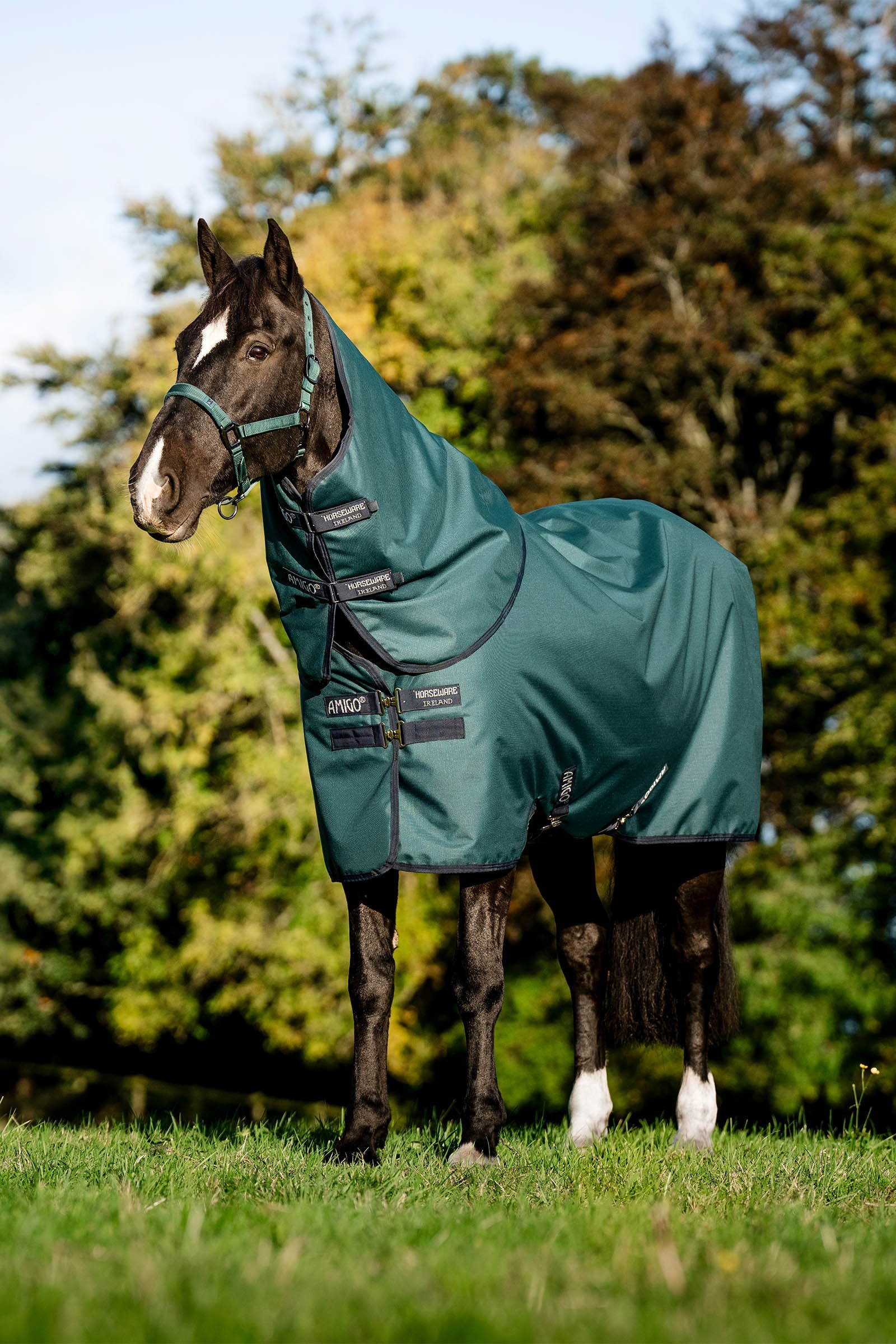 Horseware Amigo Ripstop 900D Plus Turnout Rug With Detachable Neck, 0 g Hestedækken