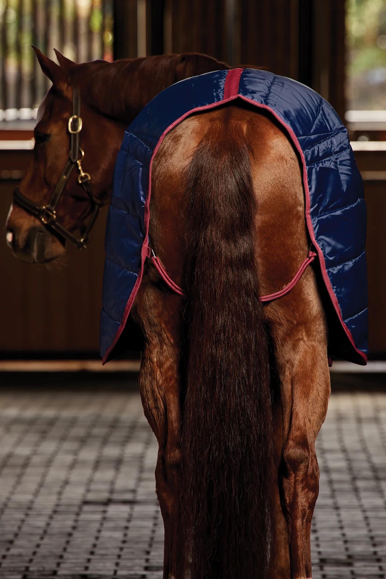 Weatherbeeta Stable Rug 100g Horse Rugs