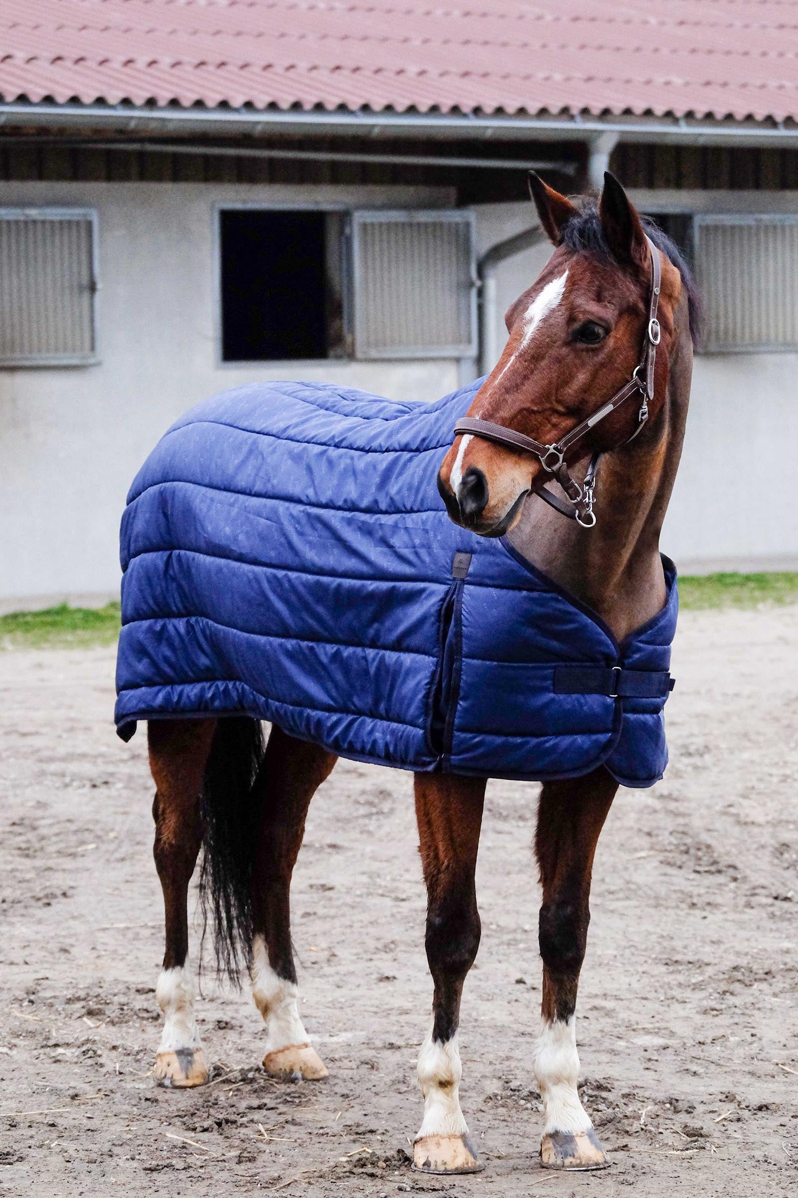 EQUITHÈME Classic underdækken, 50 g Hestedækken