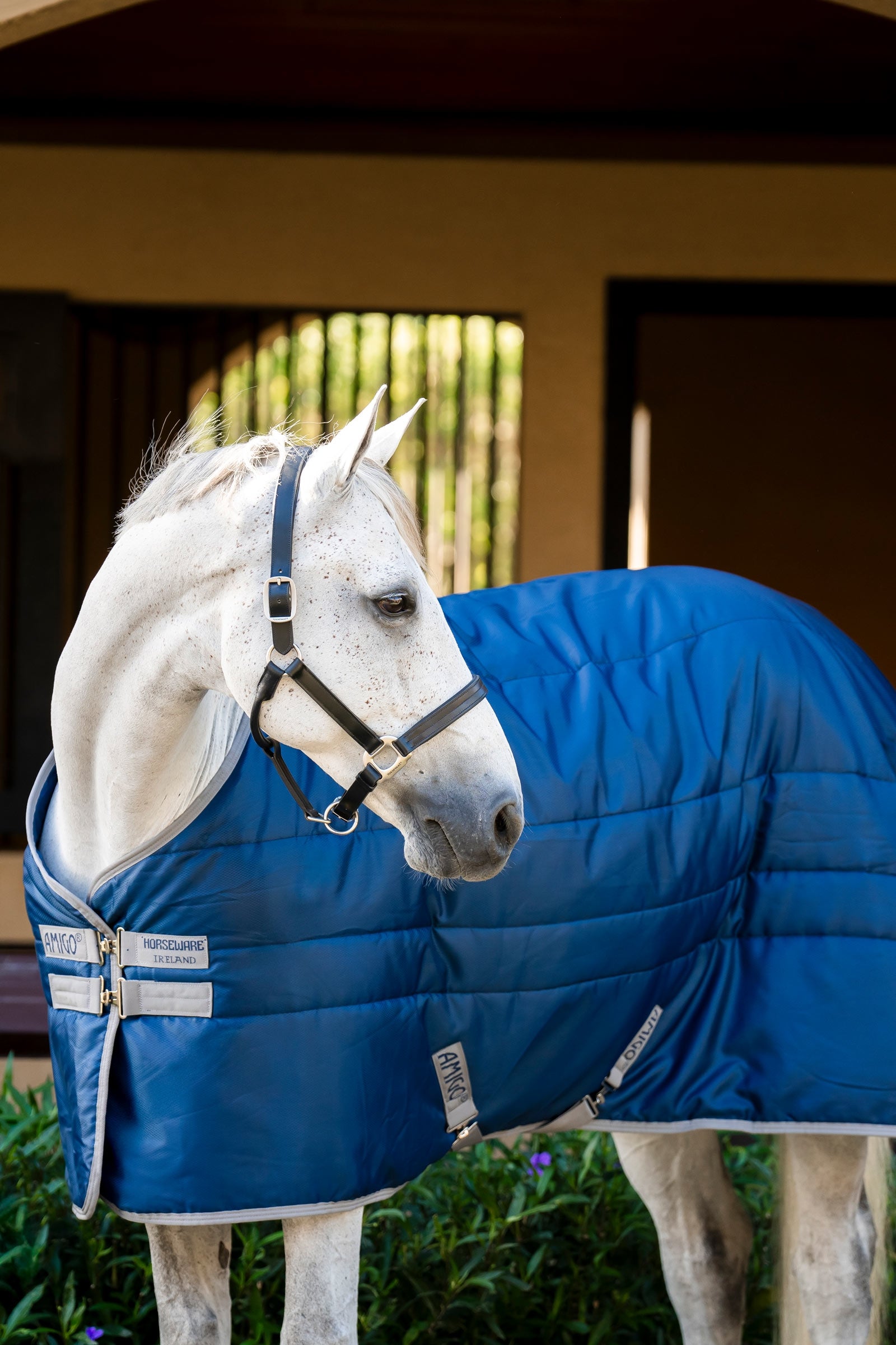 Horseware Amigo Ripstop Insulator Stable Rug, 100 g Horse Rugs