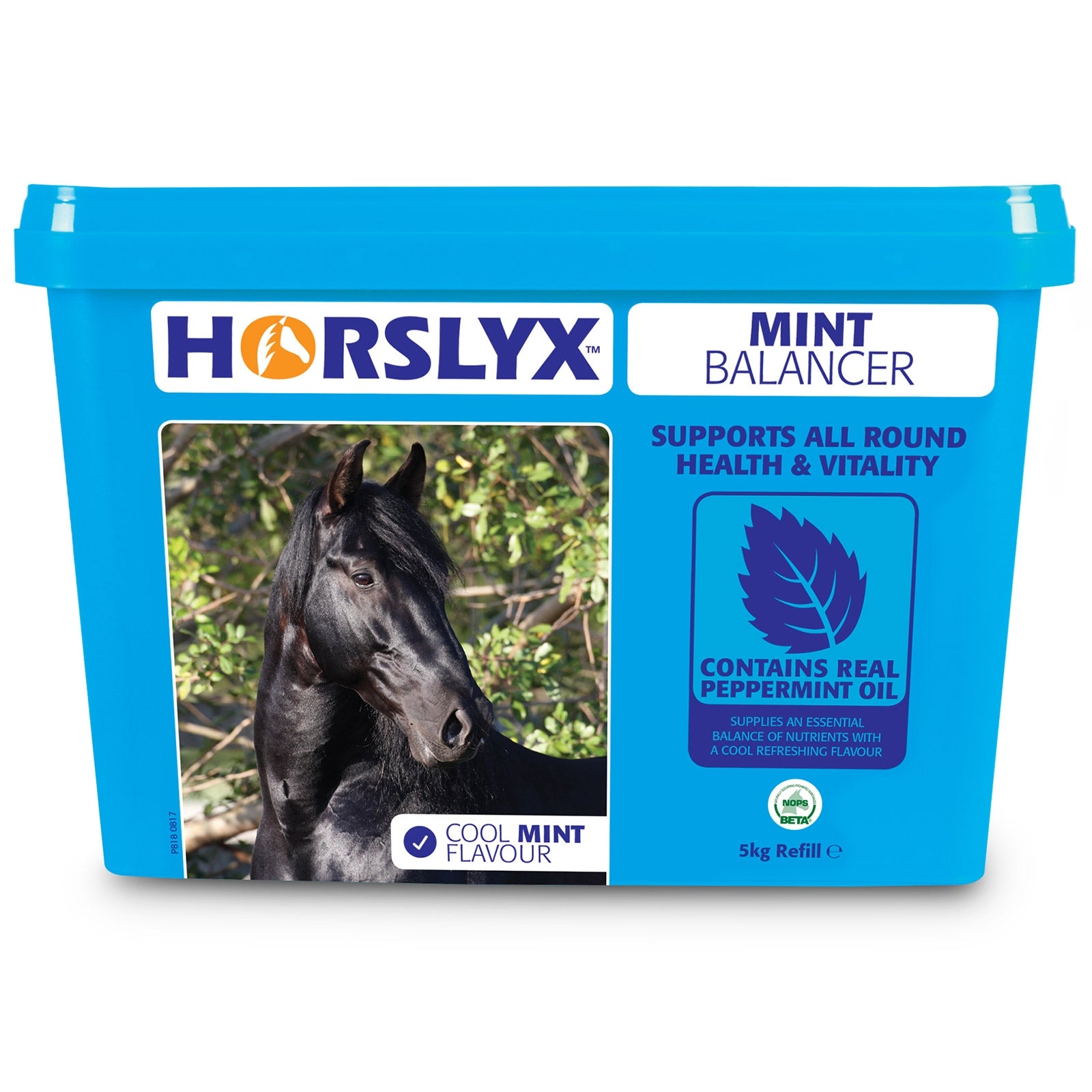Horslyx Mint sliksten, 5kg Horse Feed & Nutrition