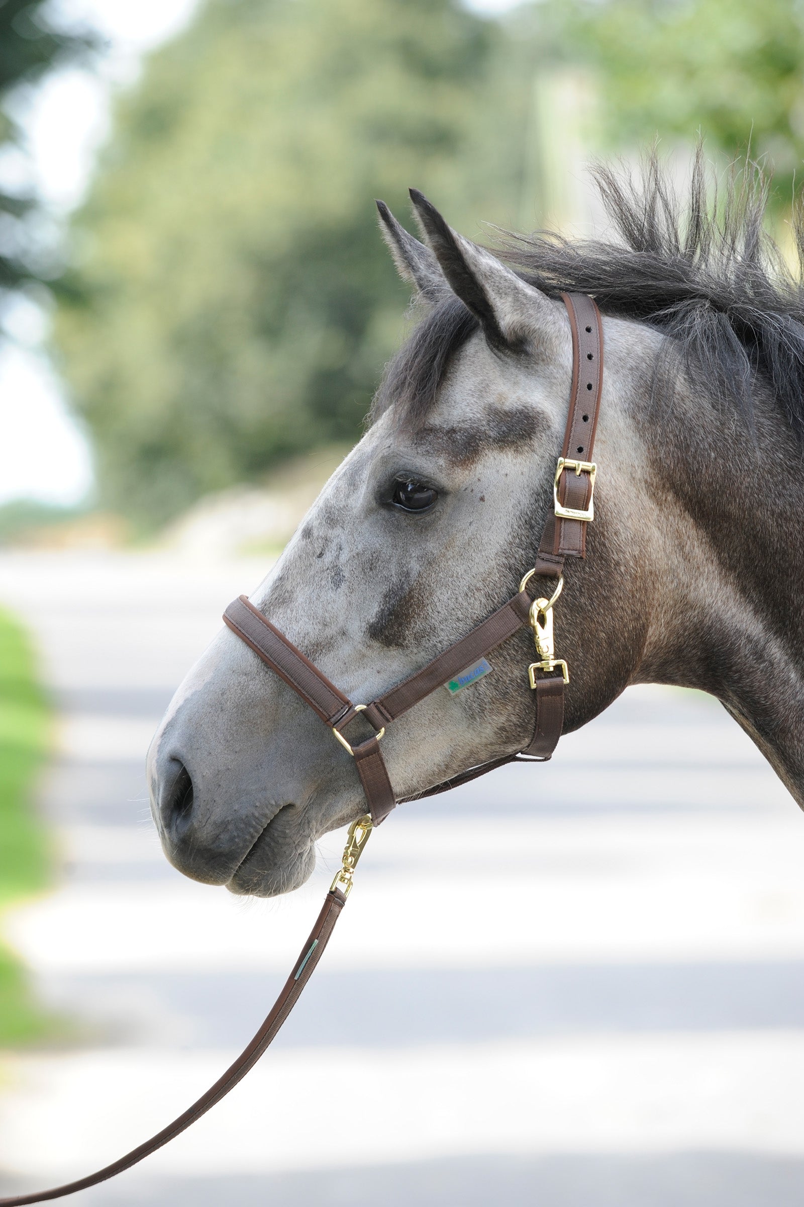 Bucas Dublin polstret luksusgrime Grimer & Træktove