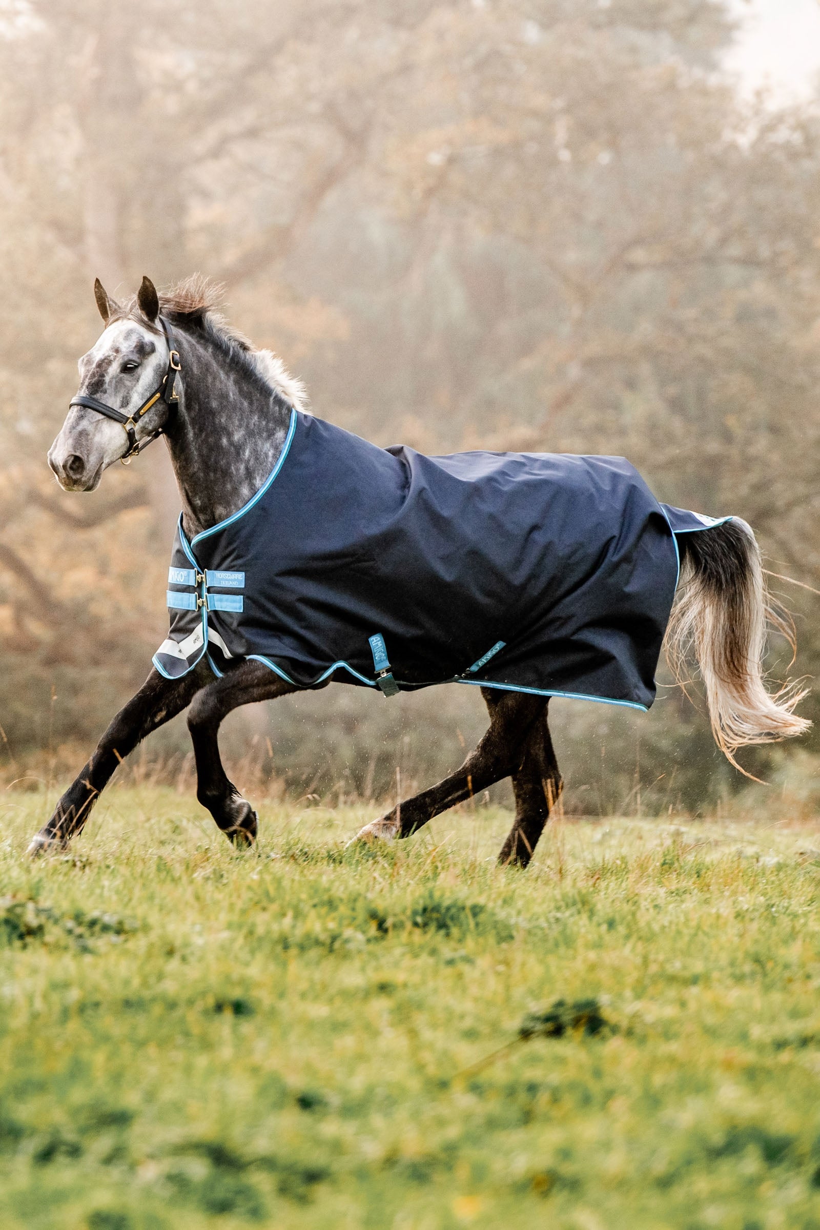 Horseware Amigo Bravo 12 udedækken, 100g Hestedækken