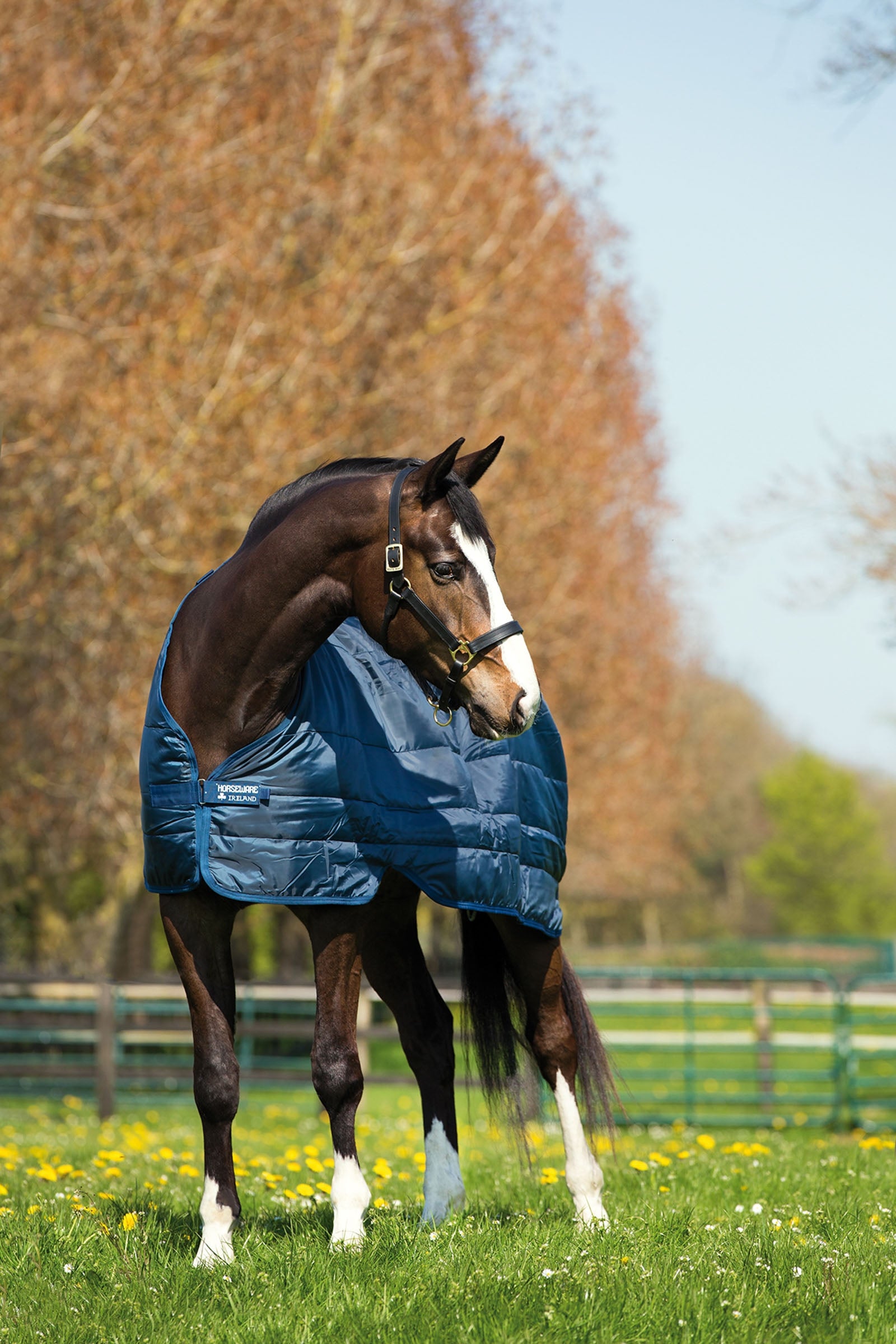 Horseware Liner underdækken, 200 g Hestedækken