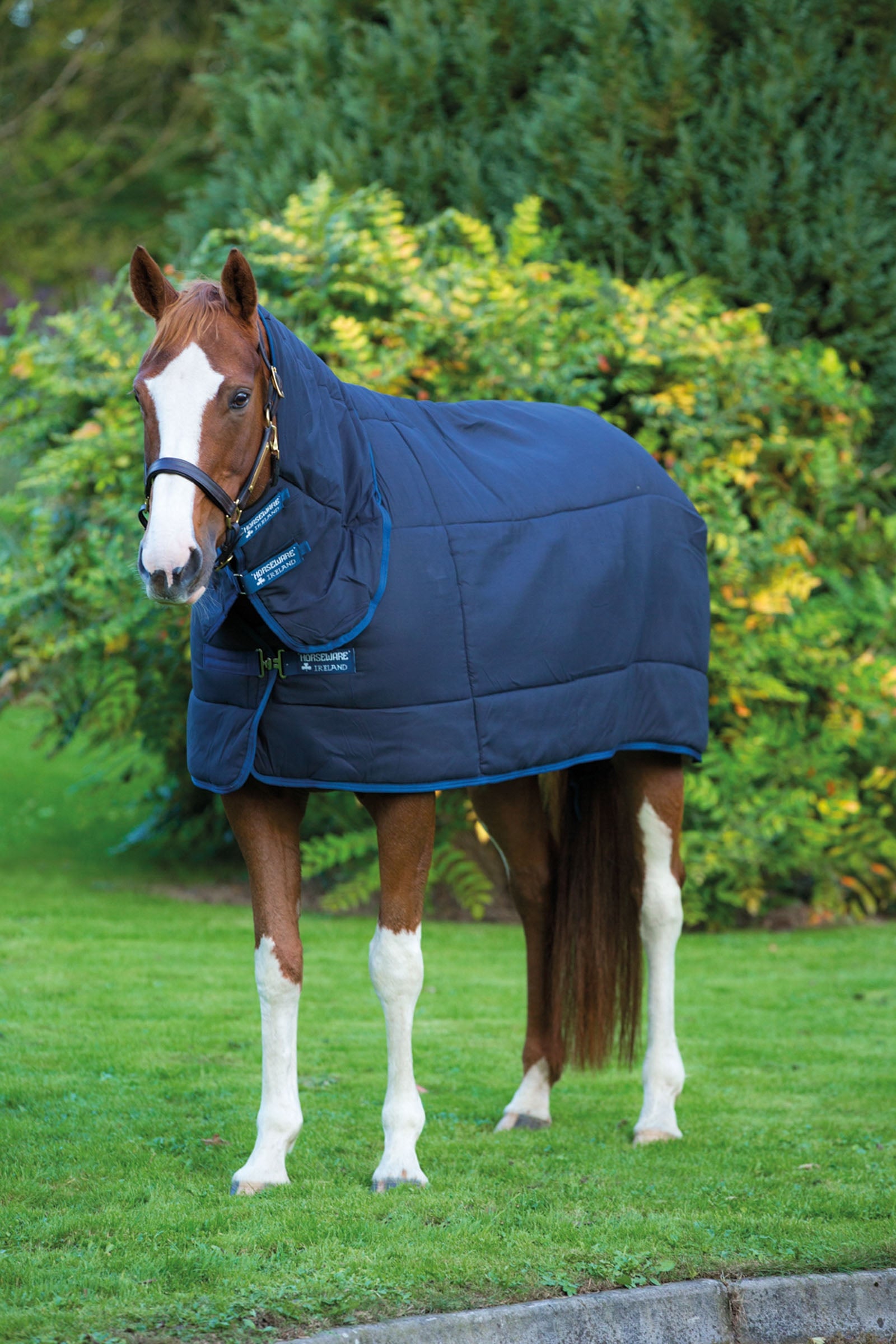 Horseware Horsware Pluss underdækken med hals, 300g Hestedækken