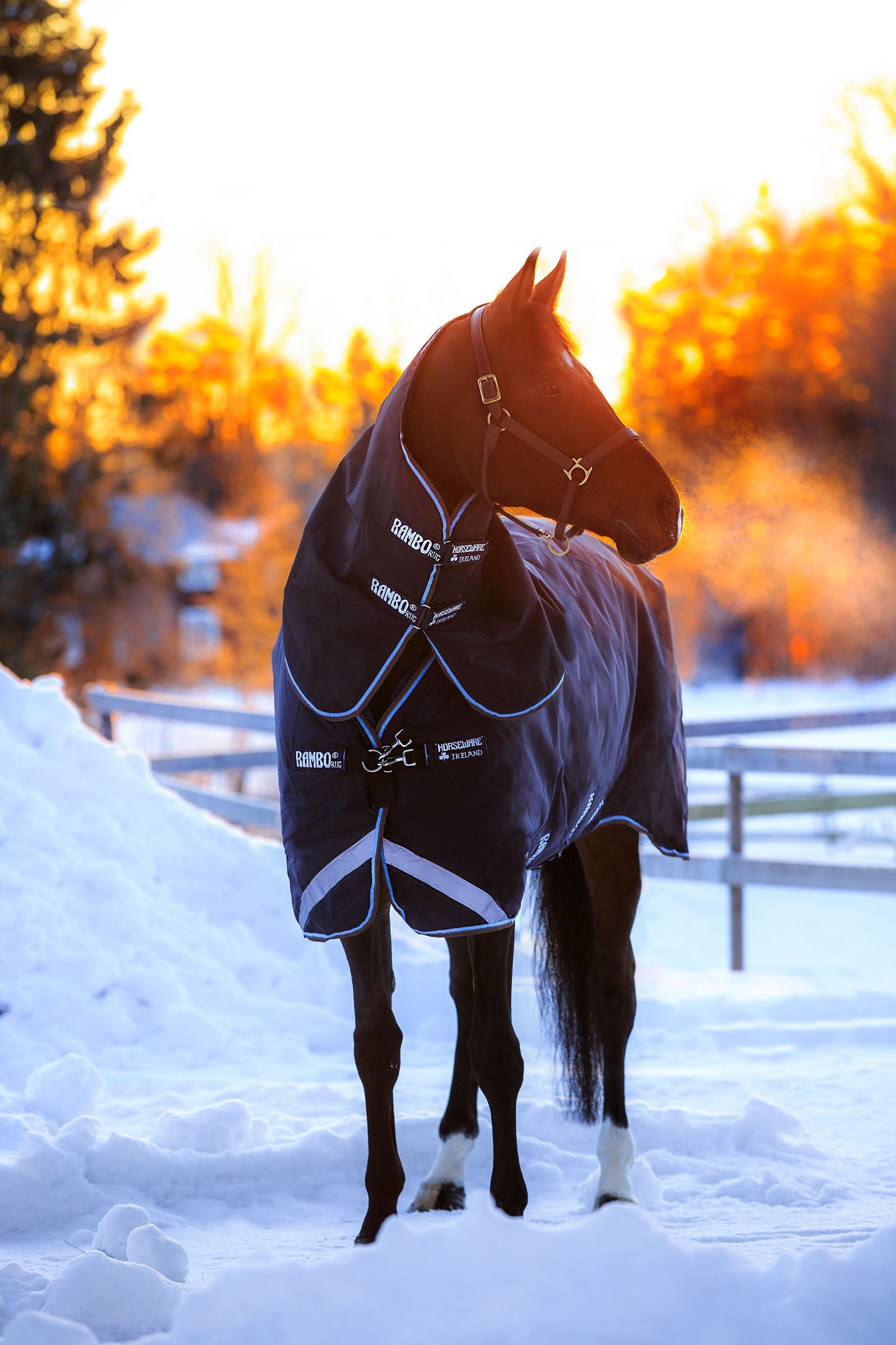 Horseware Rambo Duo dækken, 400g Hestedækken