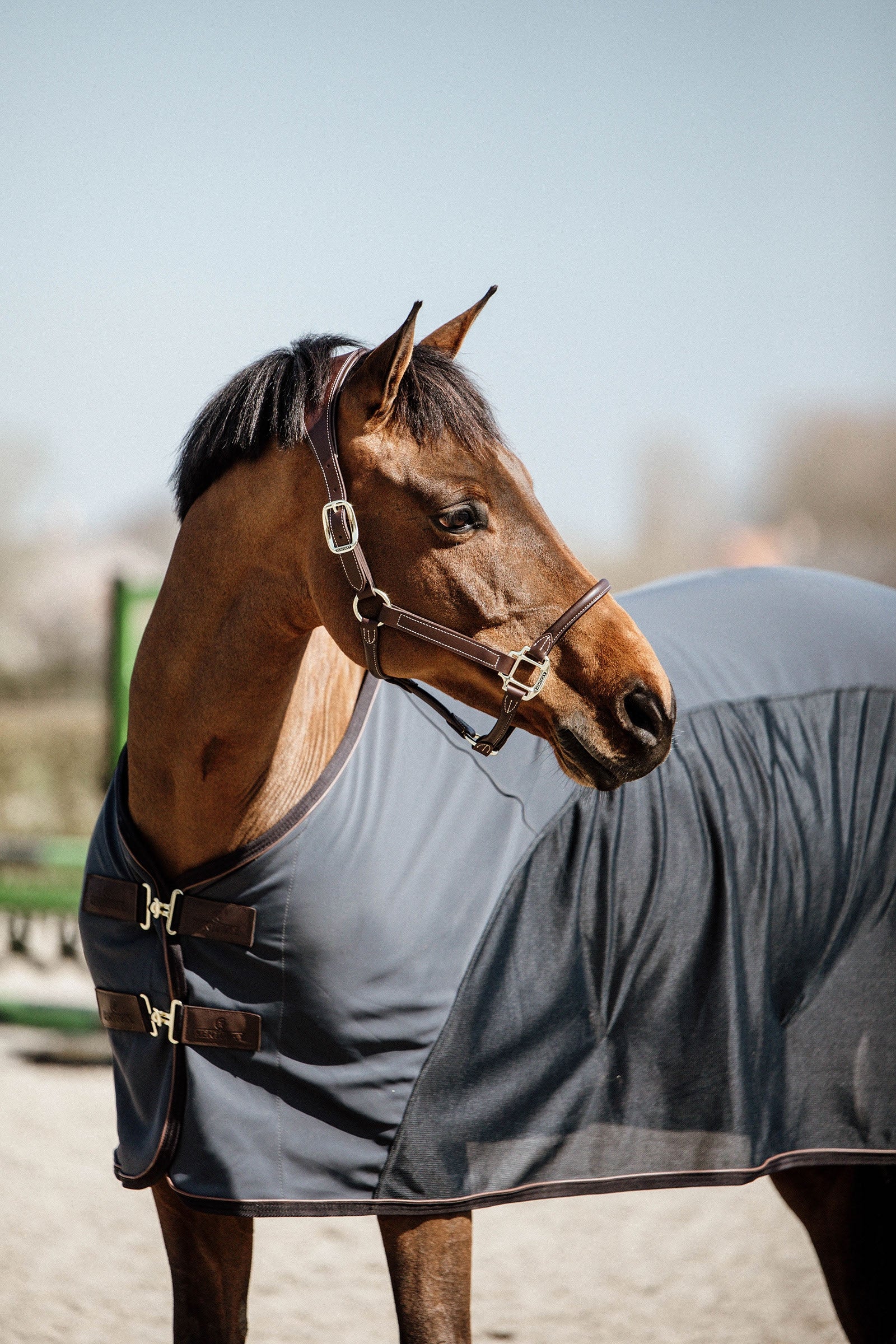 Kentucky Horsewear Cooler softshell-dækken Hestedækken