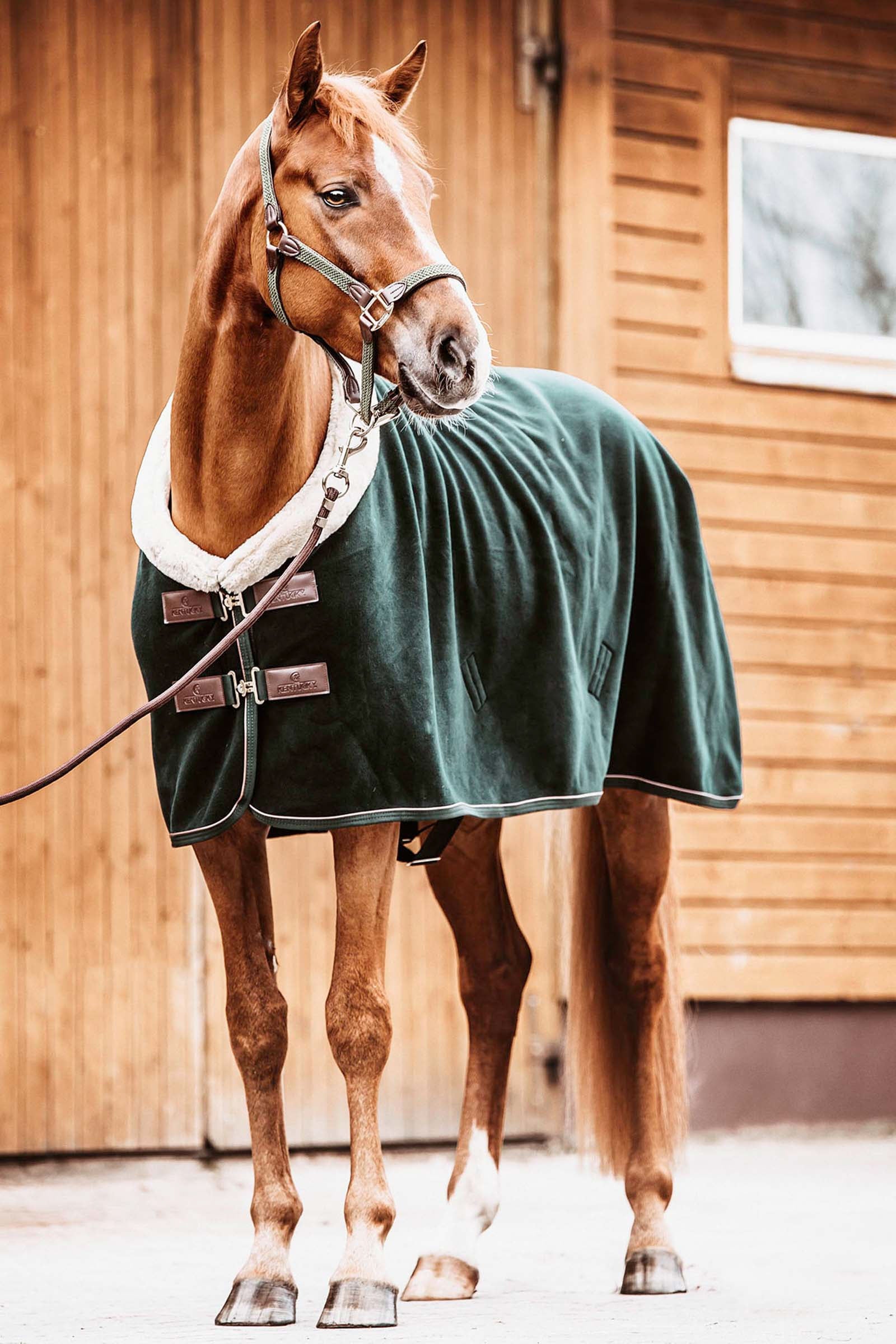 Kentucky Horsewear Fleece Show Rug Horse Rugs