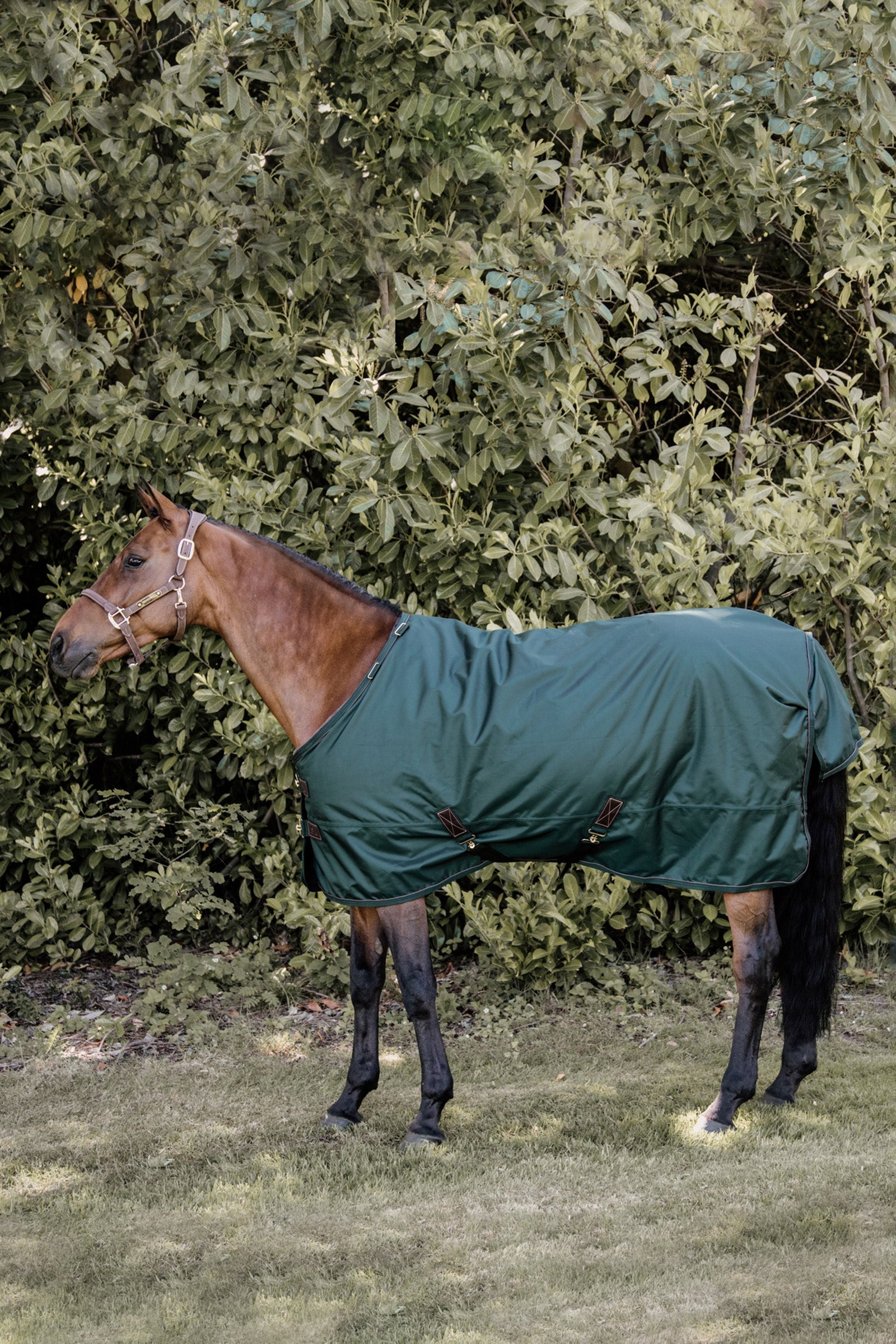 Kentucky Horsewear All Weather overgangsdækken, 160 g Hestedækken