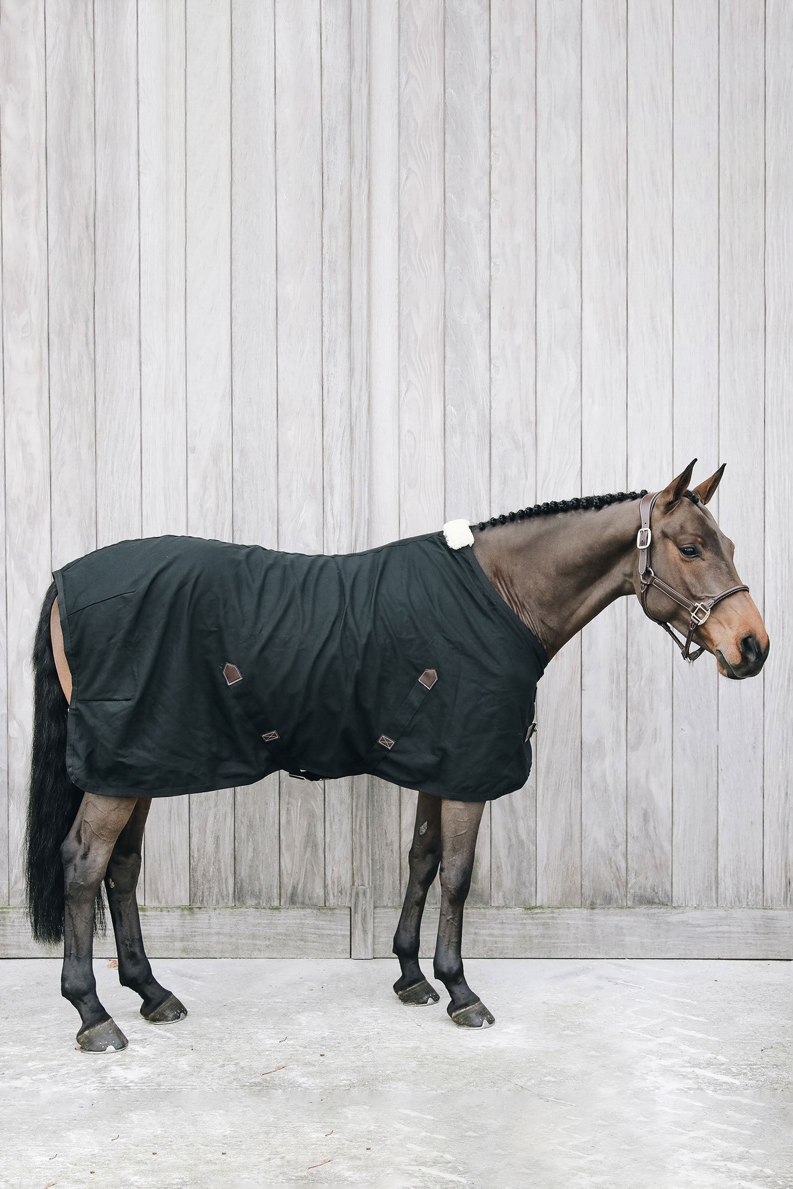 Kentucky Horsewear bomuldsdækken Hestedækken