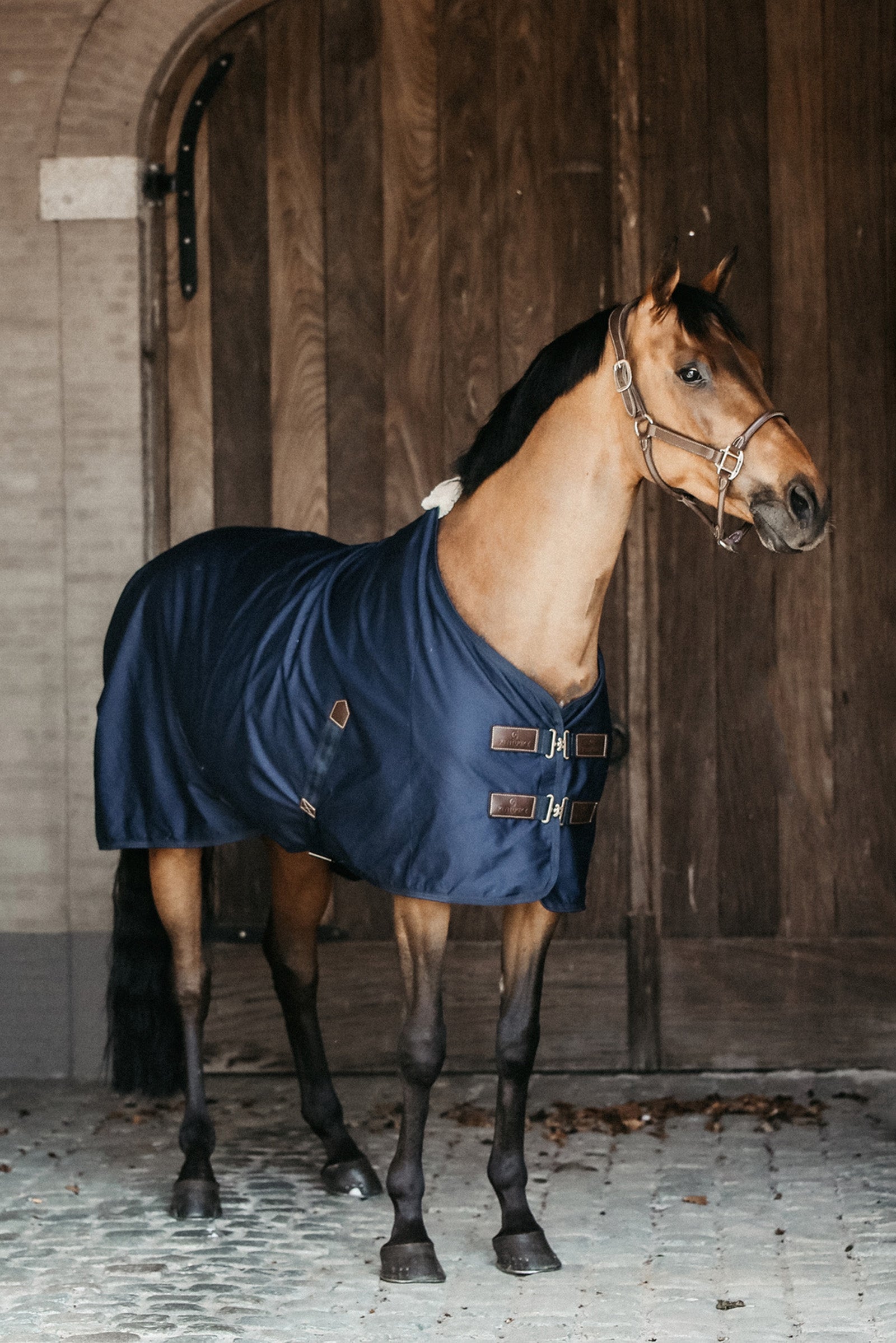 Kentucky Horsewear bomuldsdækken Hestedækken