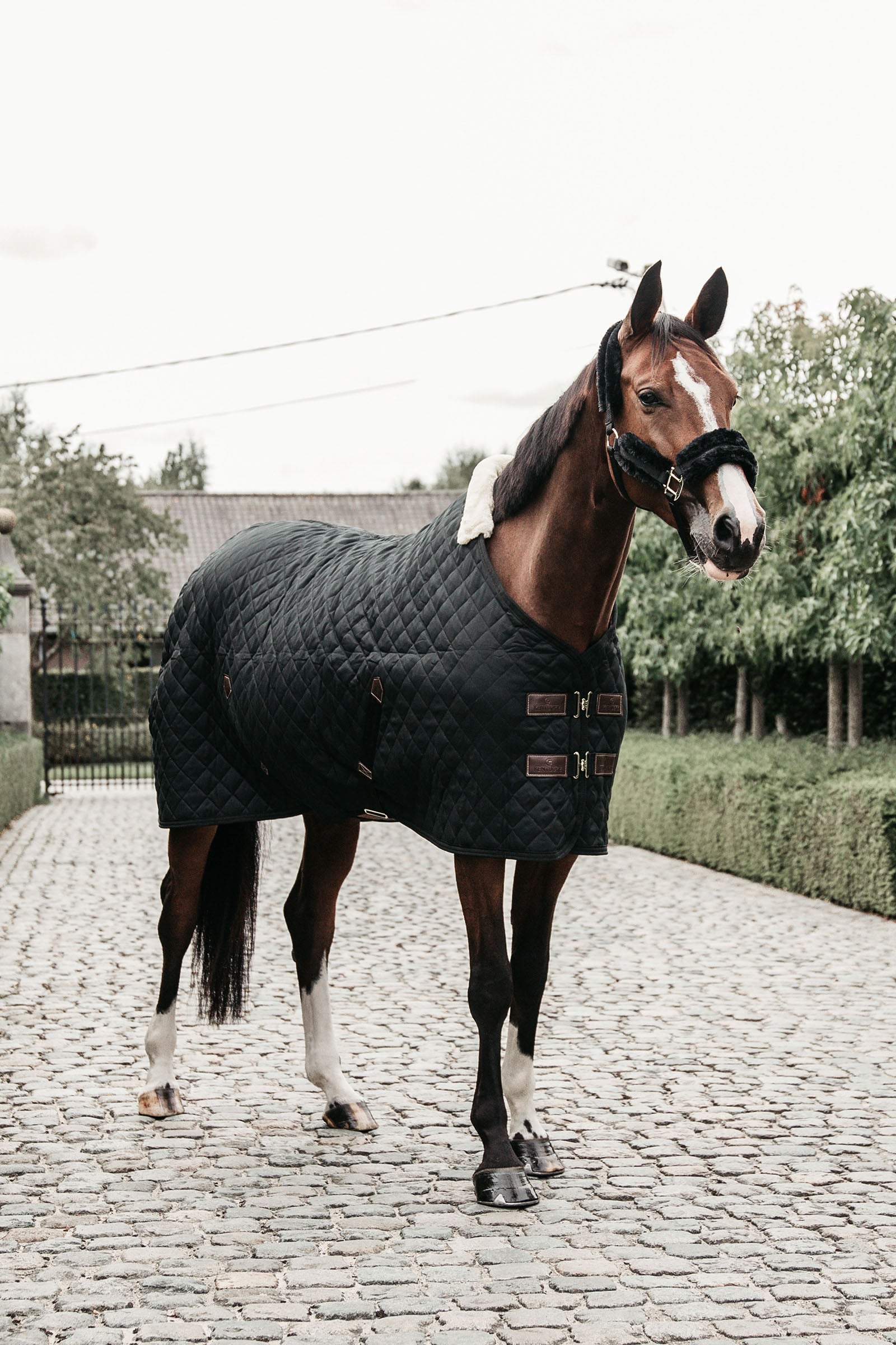 Kentucky Horsewear stalddækken, 400 g Hestedækken