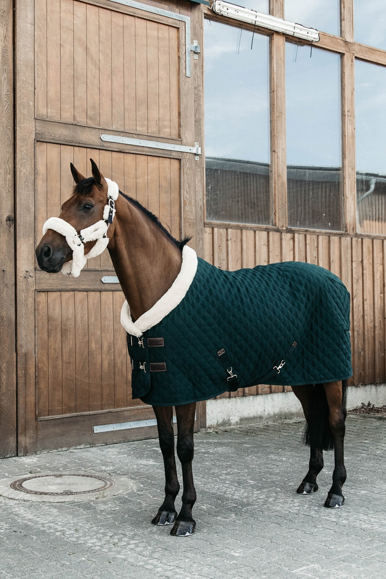 Kentucky Horsewear Show-dækken, 160 g Hestedækken