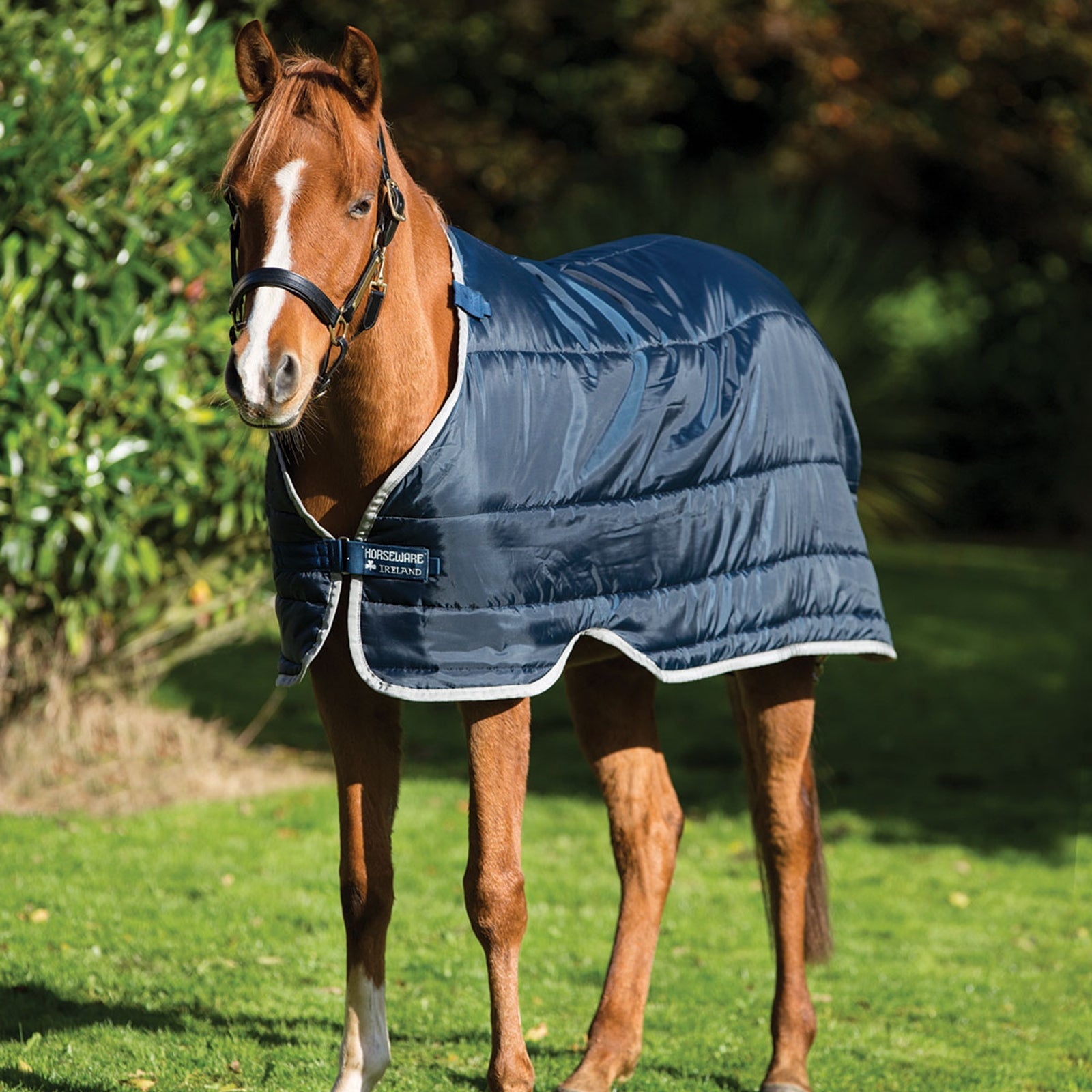 Horseware HW Pony underdækken 100g Hestedækken