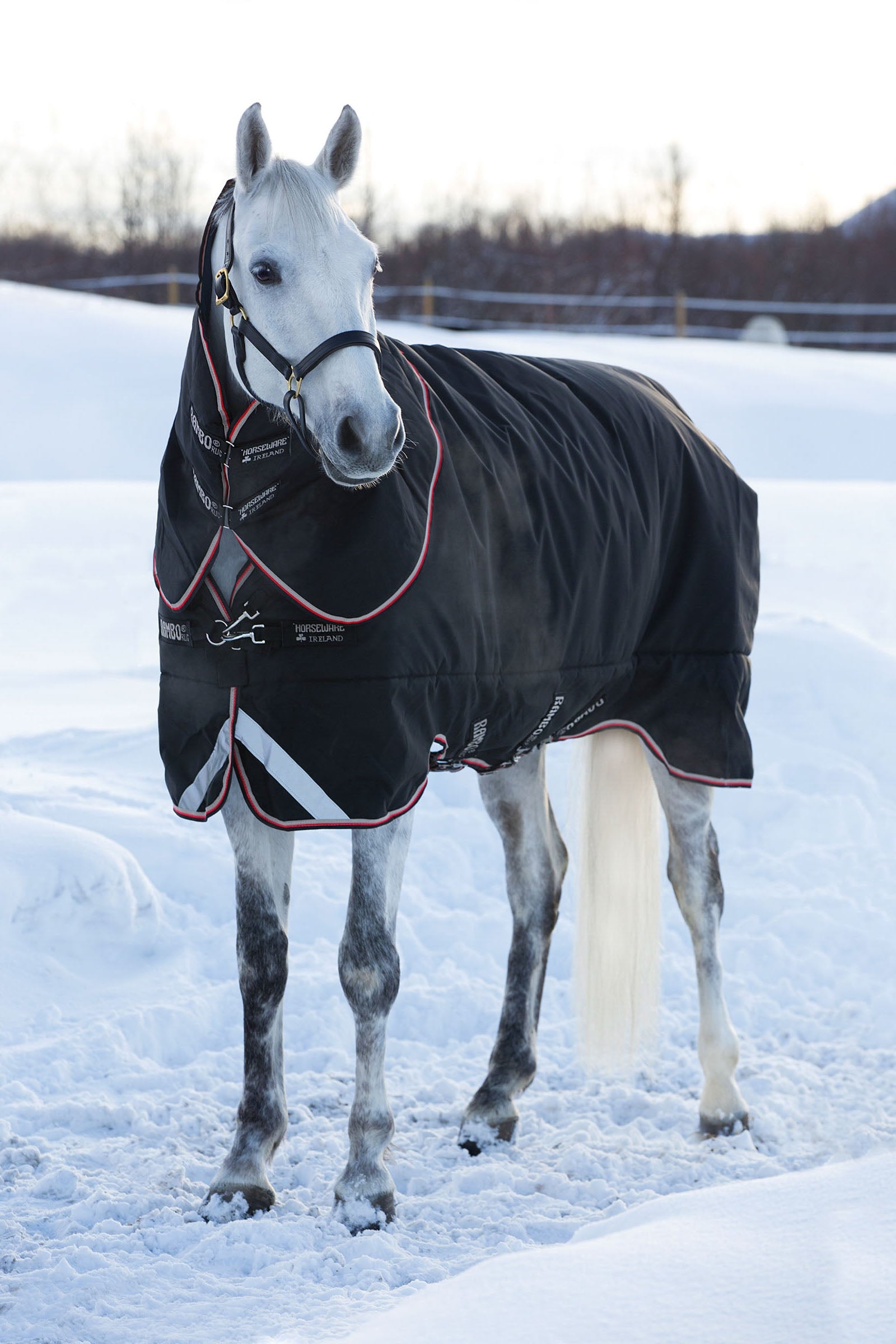 Horseware Rambo Supreme vinterdækken 420g Hestedækken