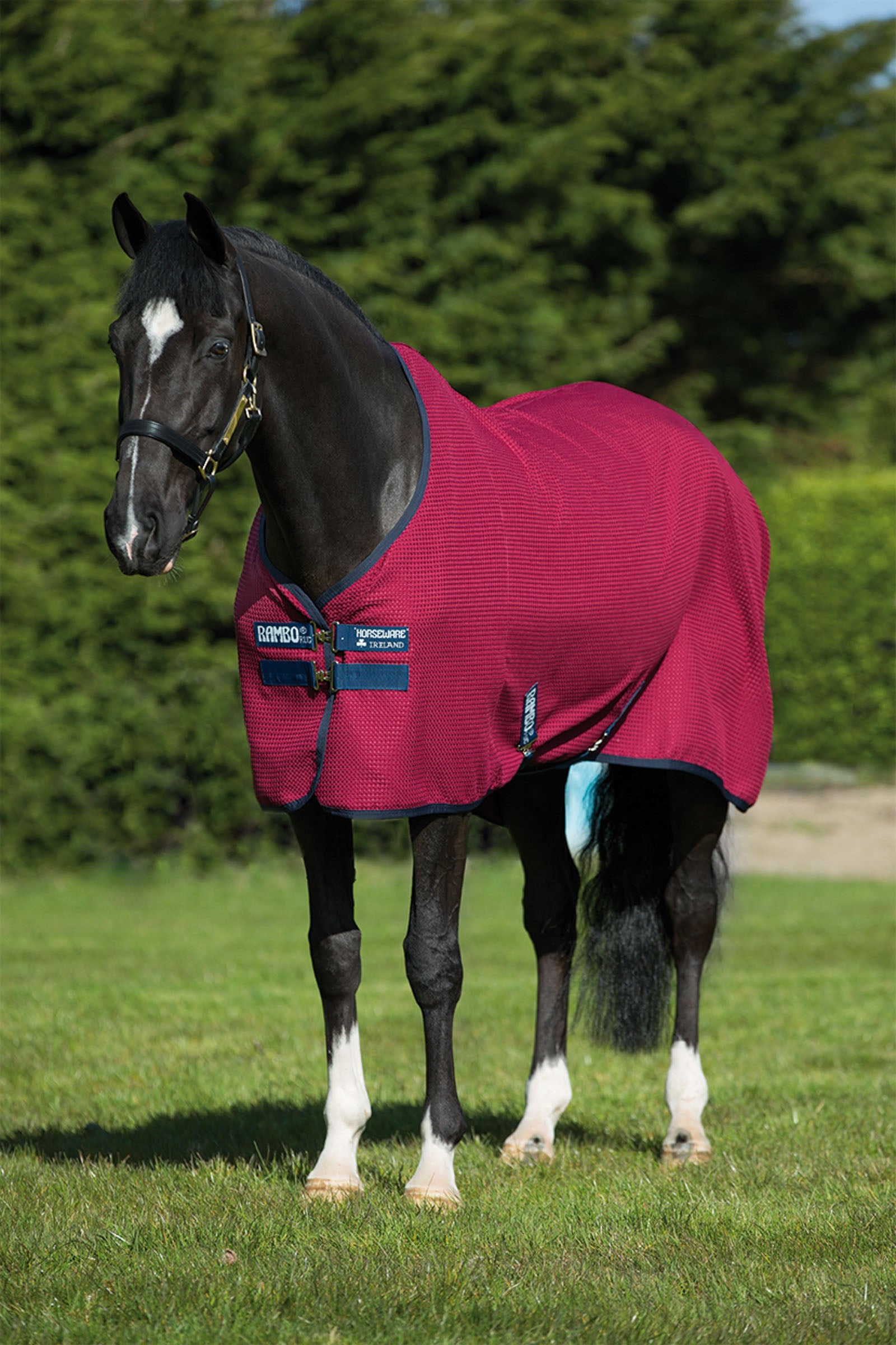 Horseware Rambo Techni vaffel sveddækken Hestedækken