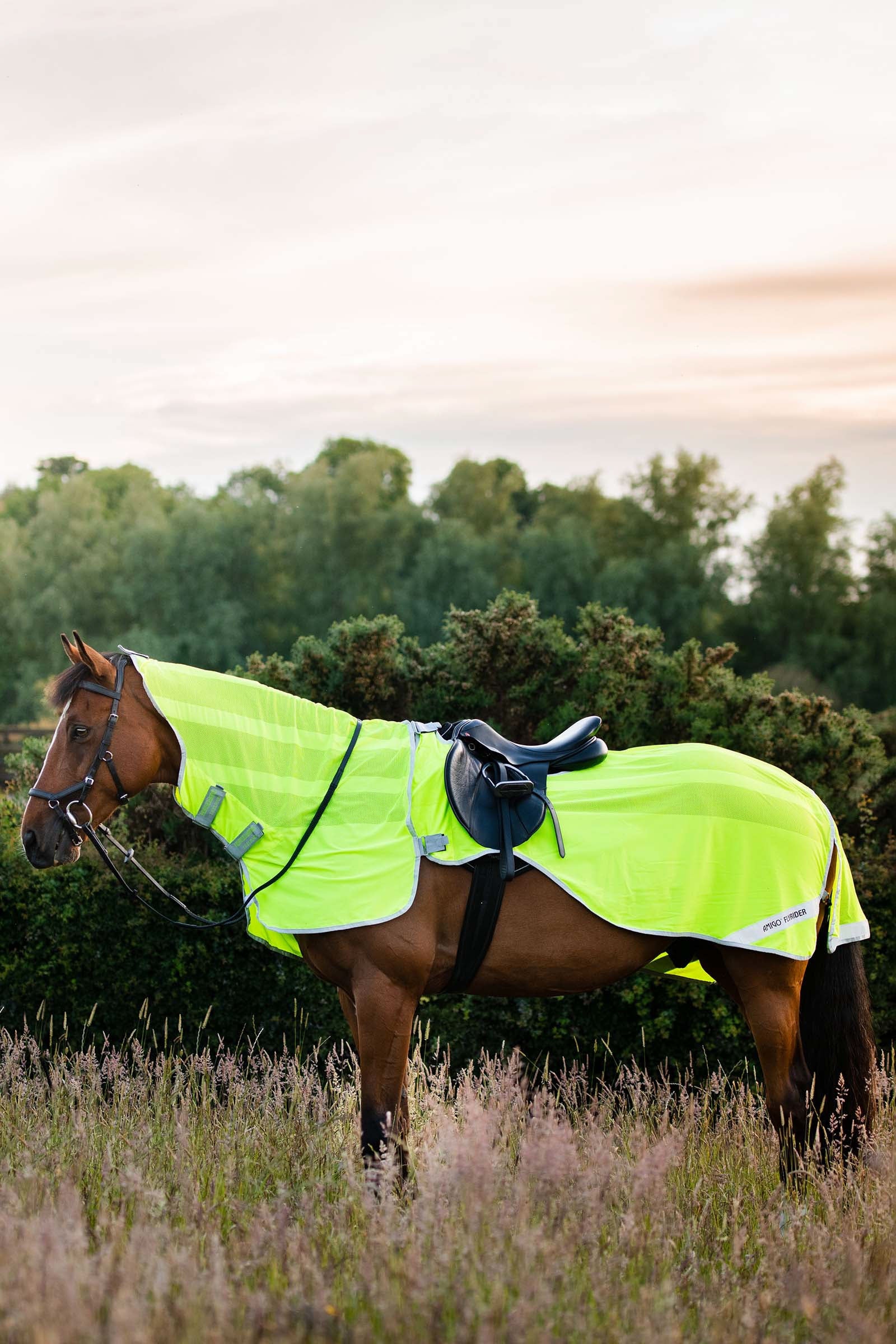 Horseware Amigo Flyrider træningsark, 0 g Hestedækken