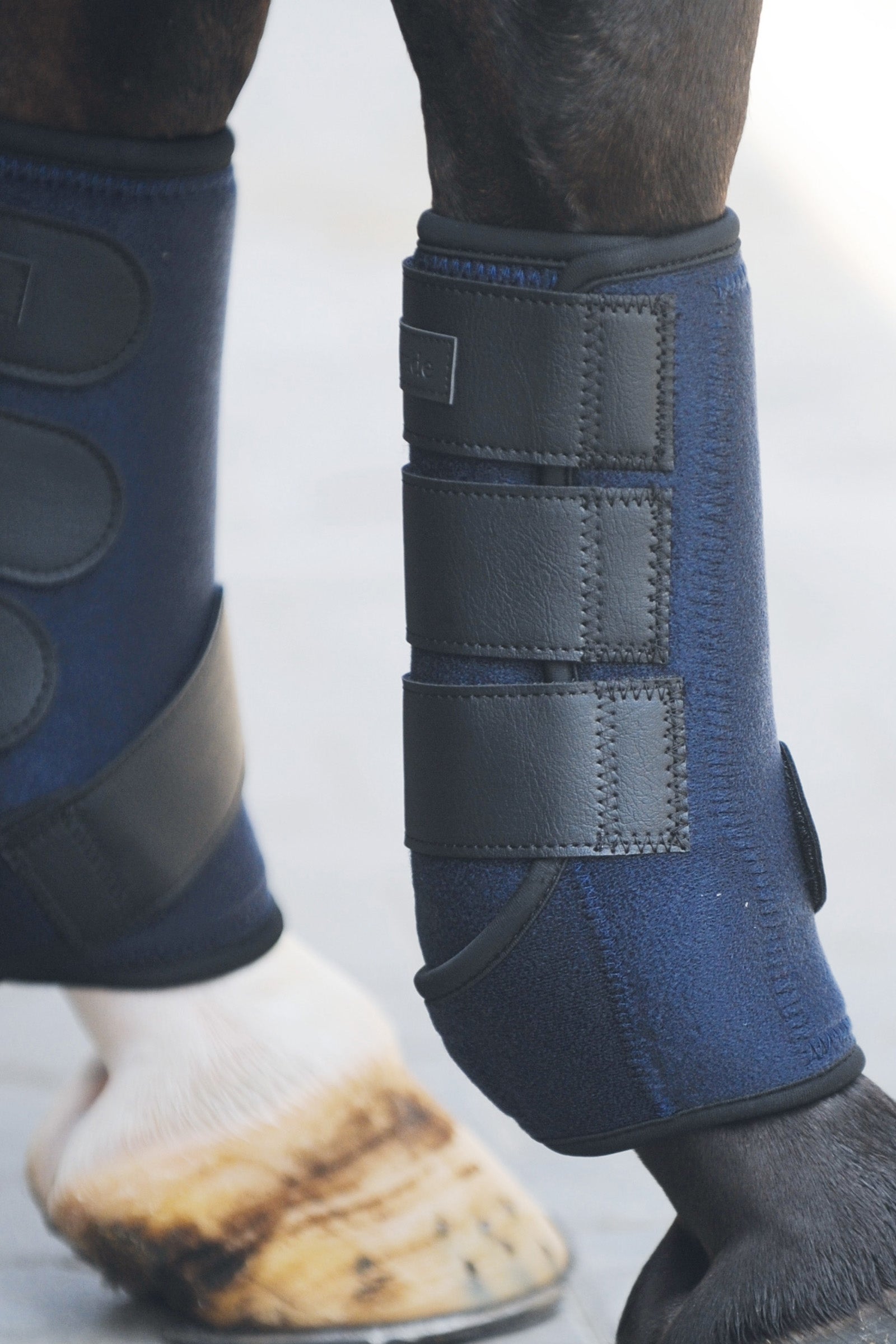 Kavalkade neoprengamacher Leg Protection & Hoof Protection for Horses