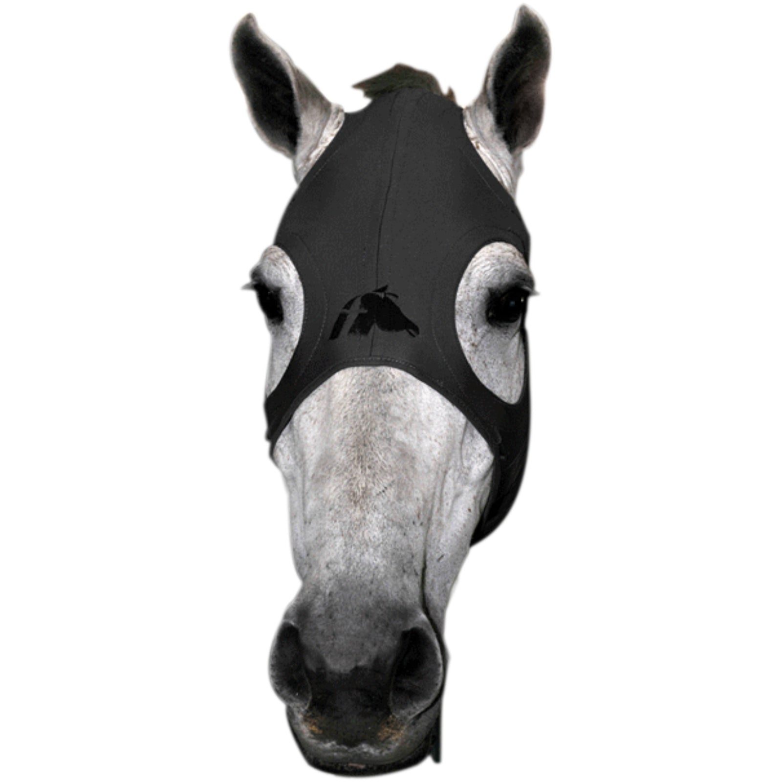 Fenwick Equestrian USA Fenwick Liquid Titanium maske Trav/monte/galop