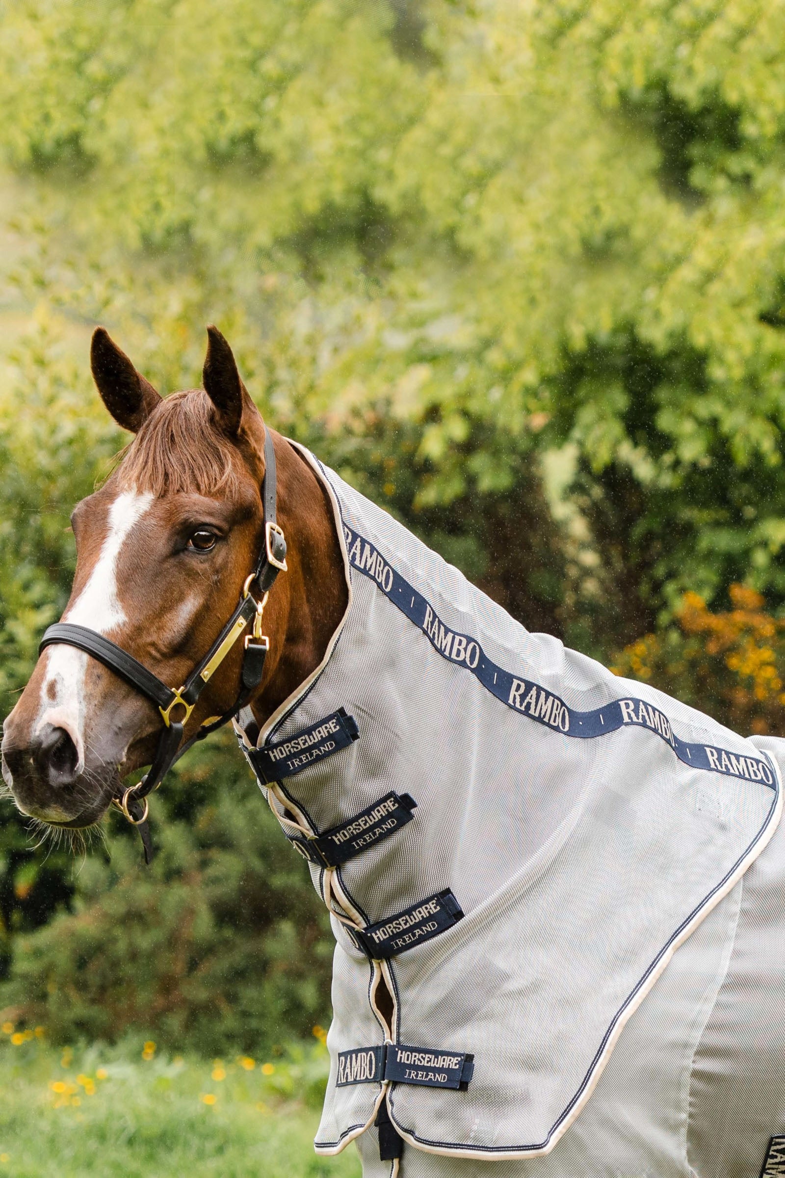 Horseware Rambo halsbeskytter Hestedækken