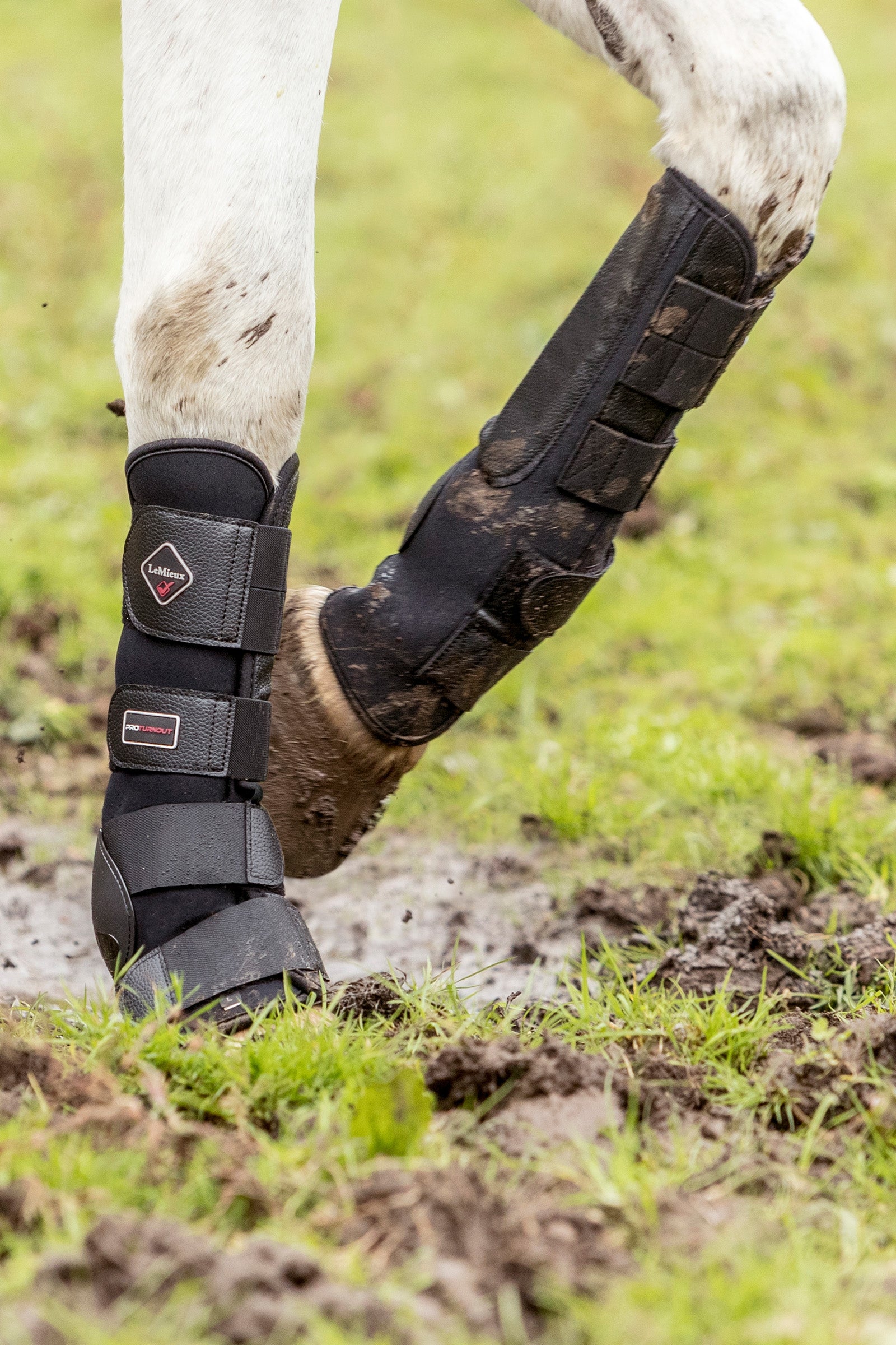 LeMieux Turnout Boots Leg & Hoof Protection