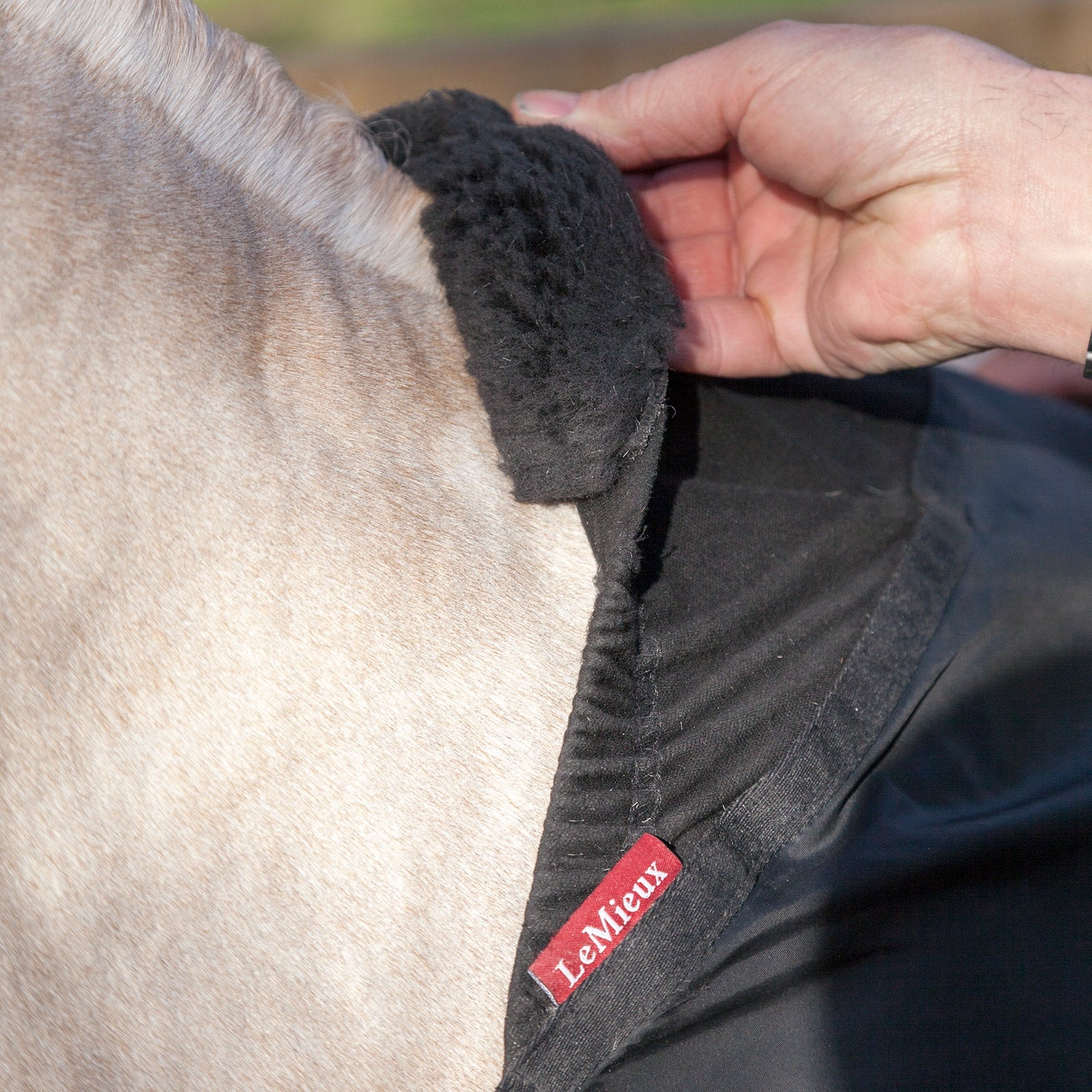 LeMieux Anti Rub Bib Horse Rugs
