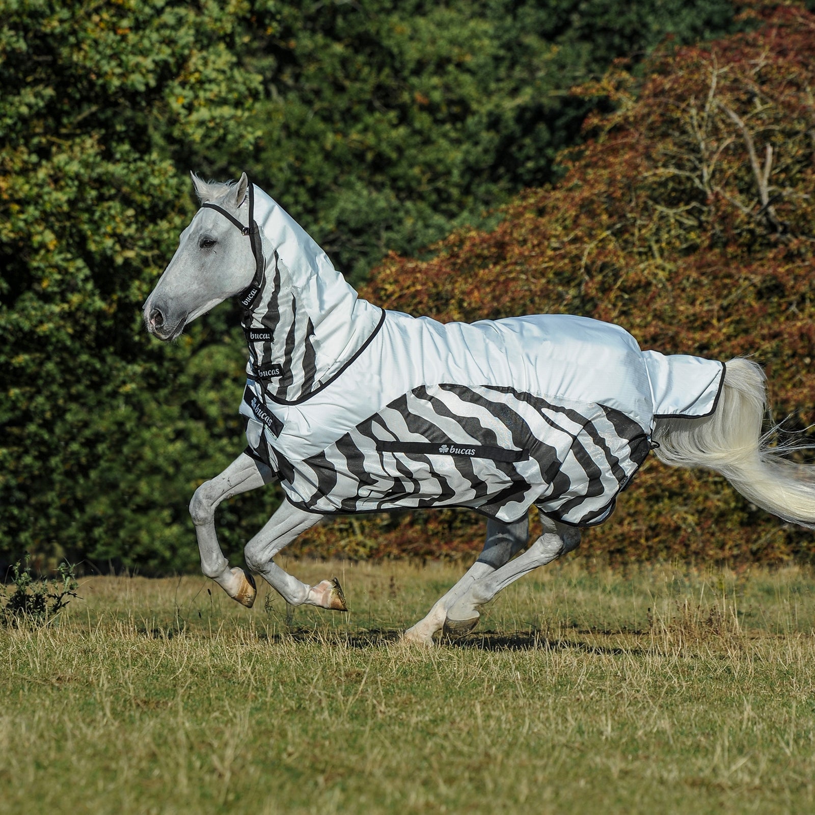 Bucas Buzz-Off Zebra regndækken hel hals Hestedækken