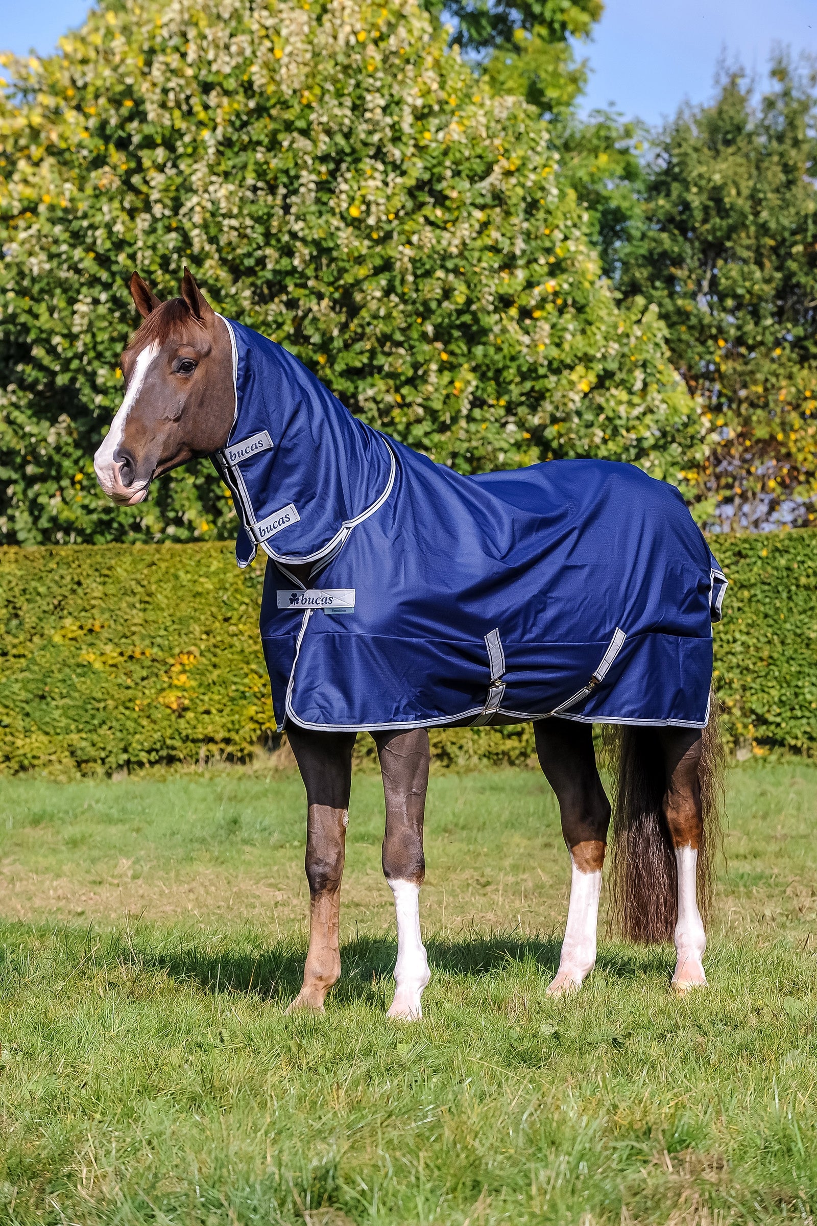 Bucas Freedom Turnout Light Fullneck Pony Turnout with Fixed Neck Horse Rugs