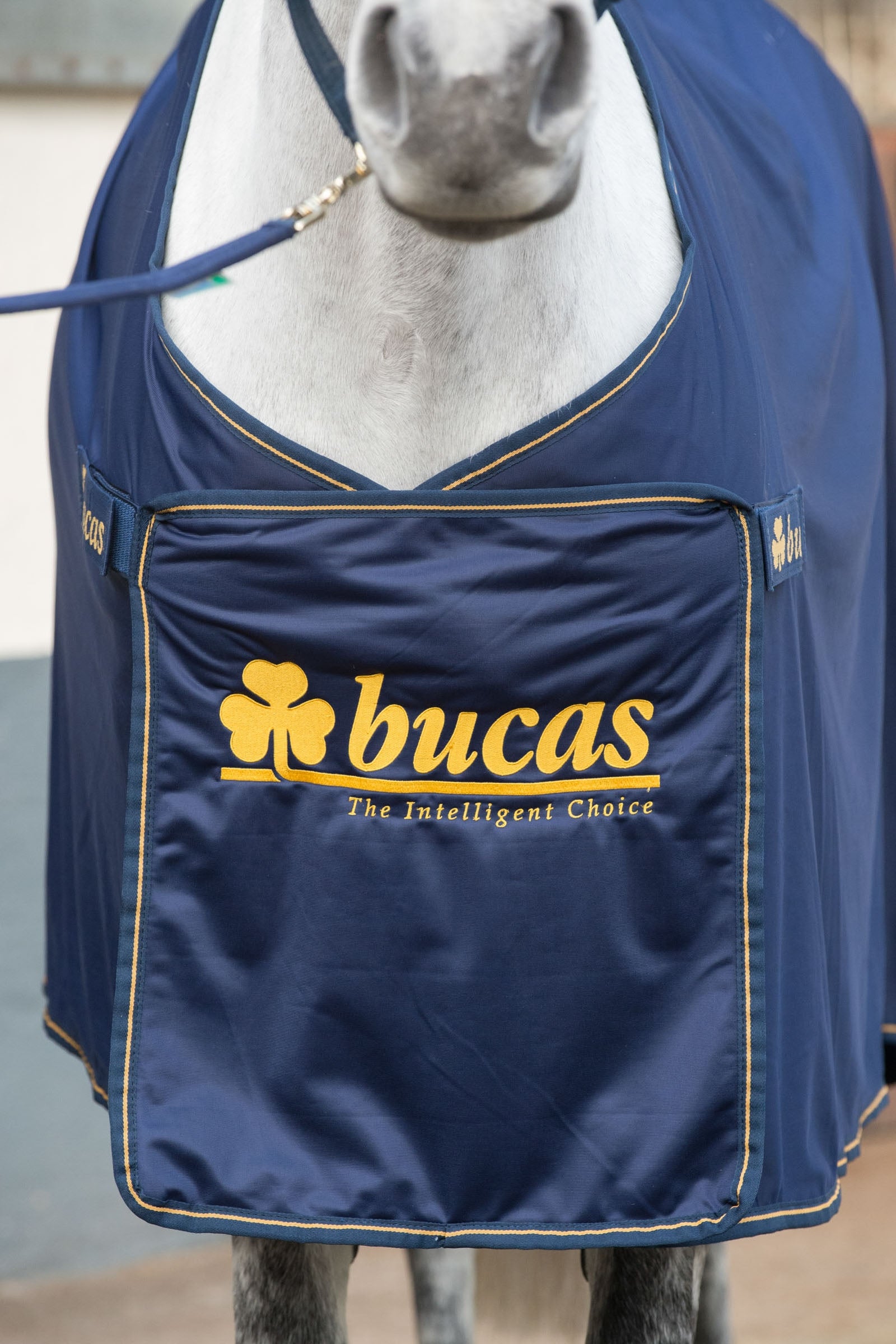 Bucas Panel Prize Cooler Horse Rugs