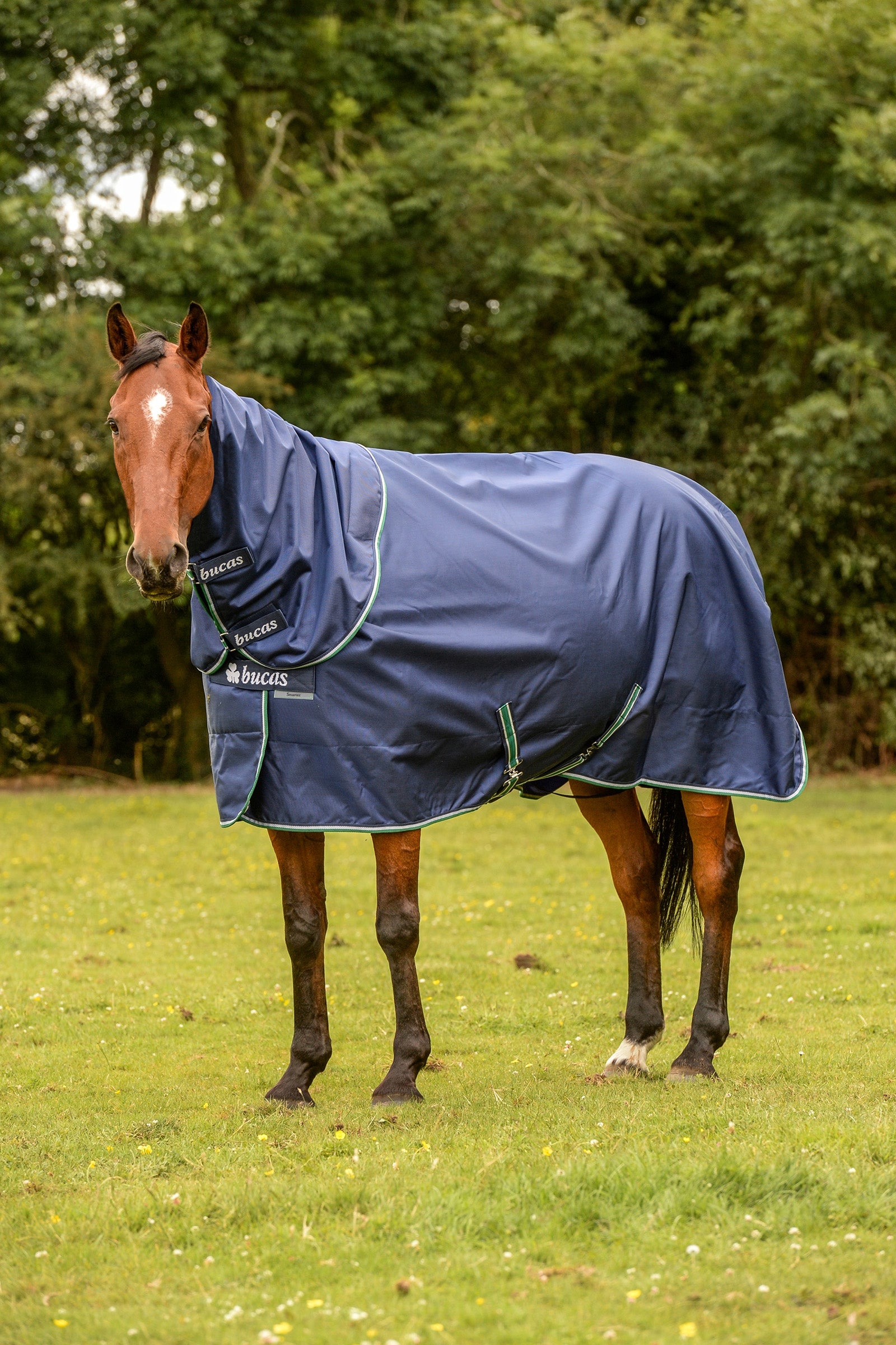 Bucas Smartex Rain Pony Turnout Rug with Cooling Function, 0g Horse Rugs