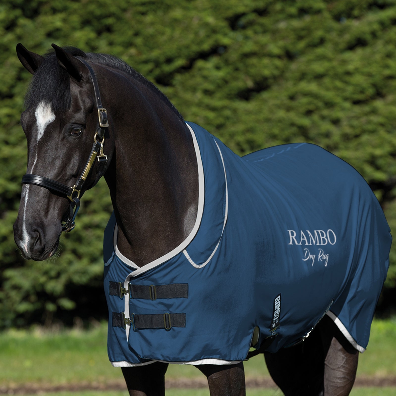 Horseware Rambo sveddækken Hestedækken