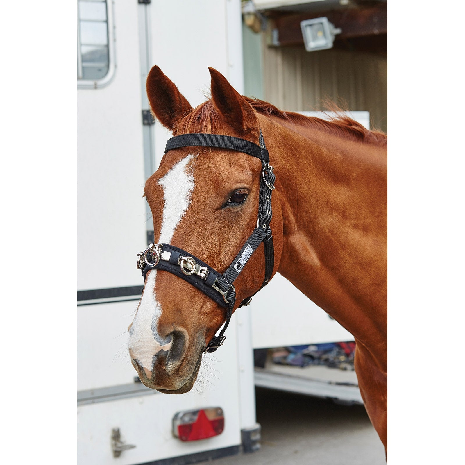 Kincade Coordinate longekapsun Longering & hjælpetøjler