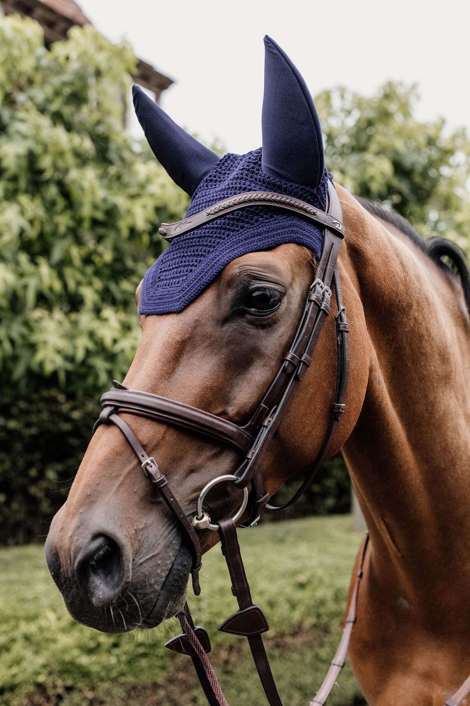 Kentucky Horsewear Wellington Hut, Soundless Sadelunderlag