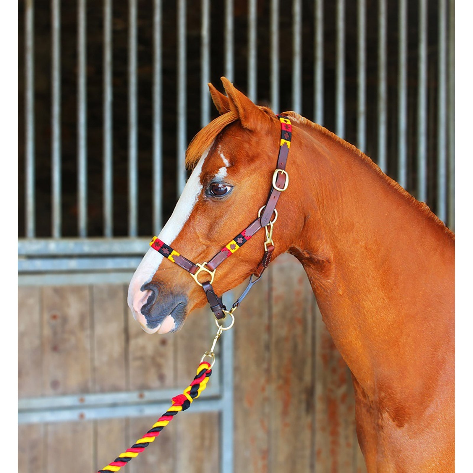 Chukka lædergrime Grimer & Træktove