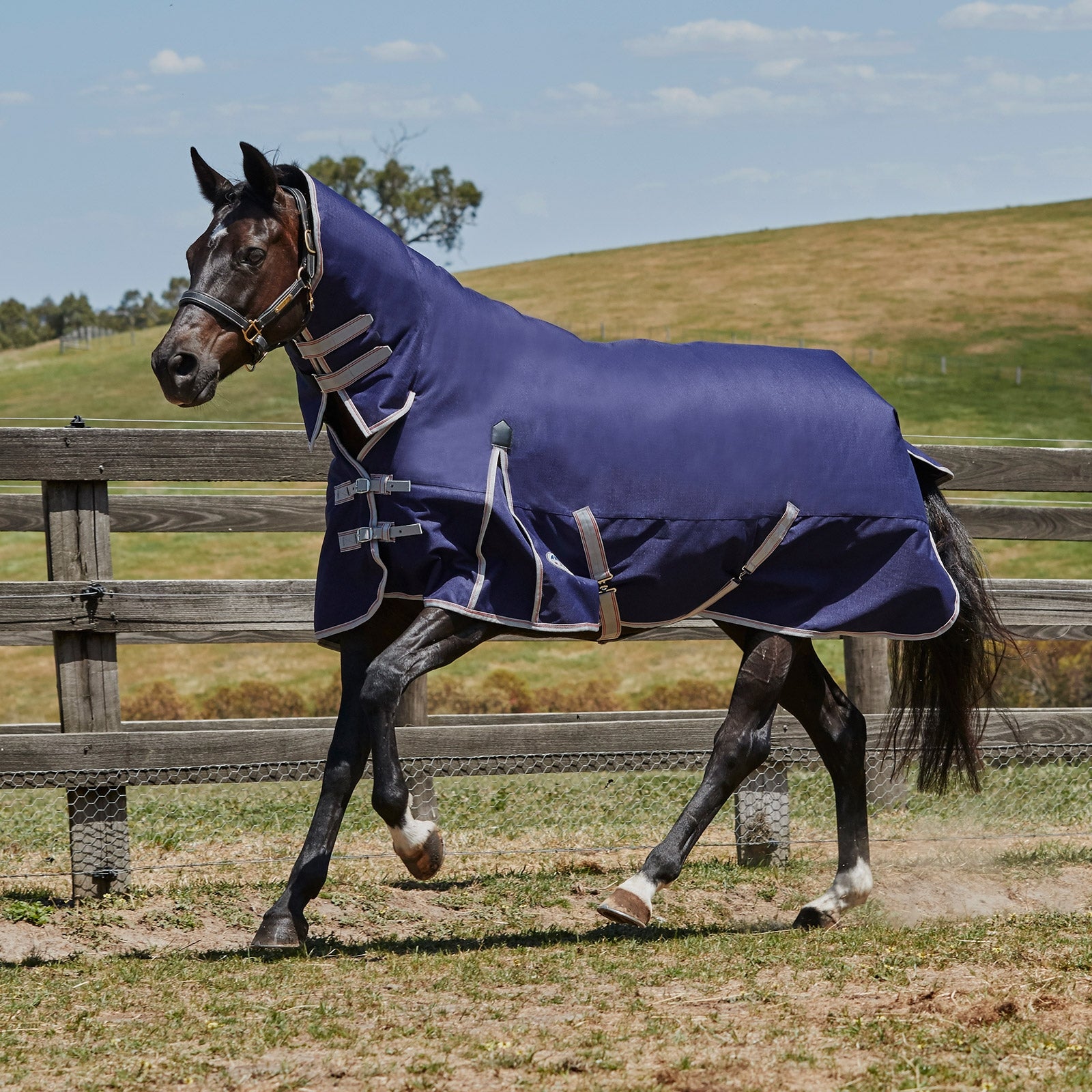 Weatherbeeta Comfitec Essential Turnout Rug with Fixed Neck, 0g Horse Rugs