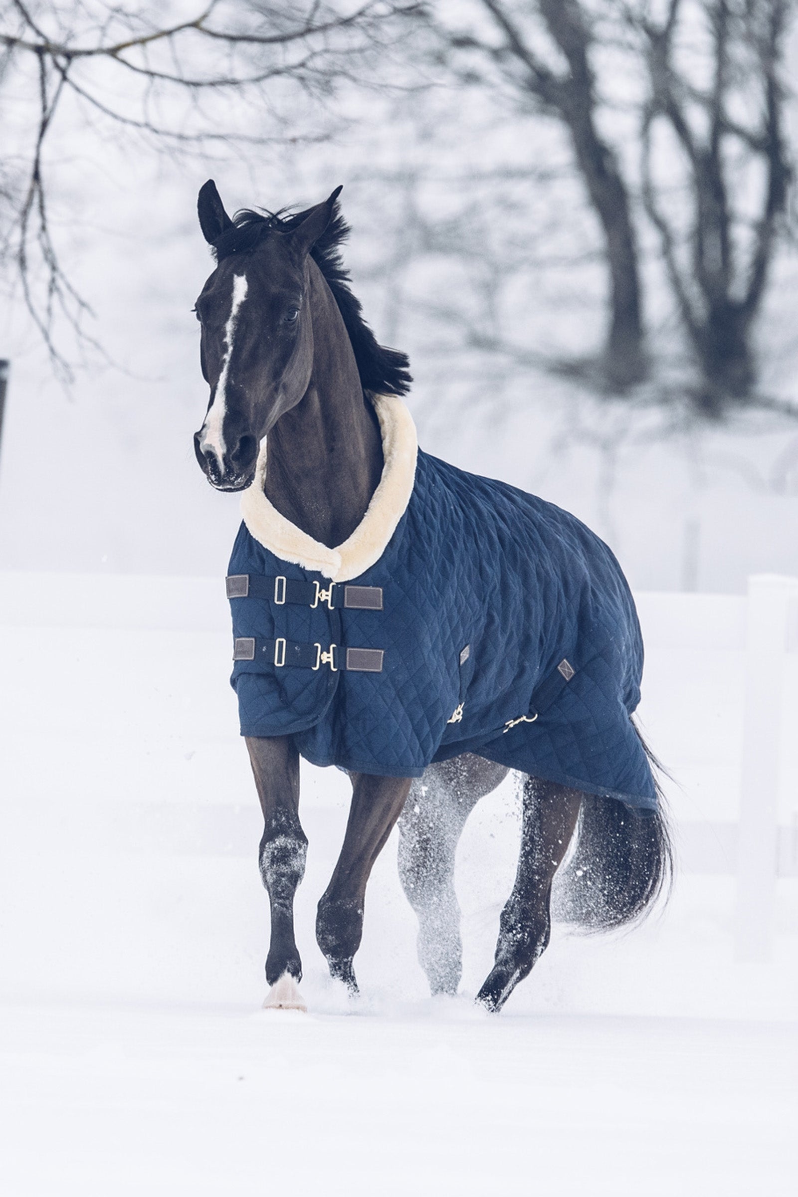 Kentucky Horsewear stævnedækken, 160 g. Hestedækken