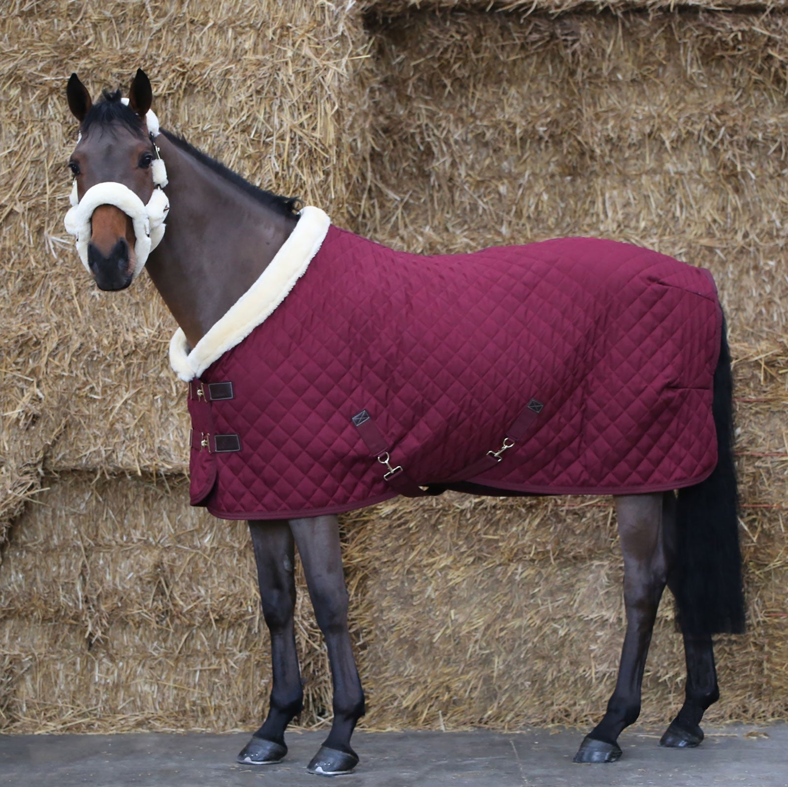 Kentucky Horsewear stævnedækken, 160 g. Hestedækken
