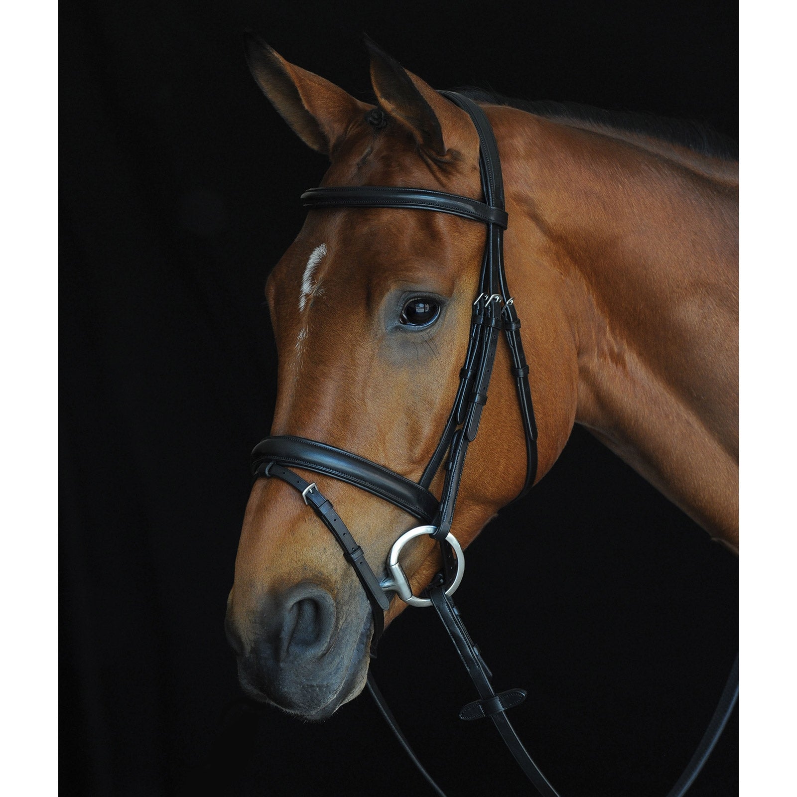 Collegiate Comfort Crown Padded Raised Flash Bridle Bridles & Reins