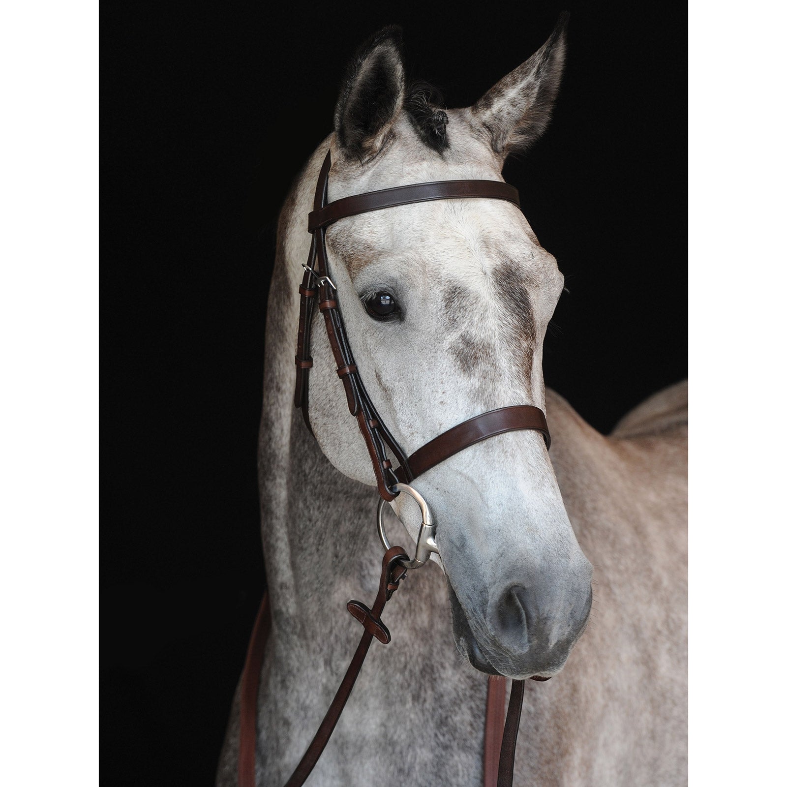 Collegiate Hunt Cavesson Bridle IV Bridles & Reins