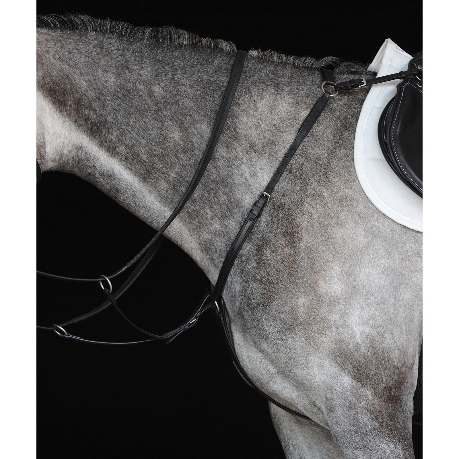 Collegiate Hunter fortøj IV. Trenser & tøjler